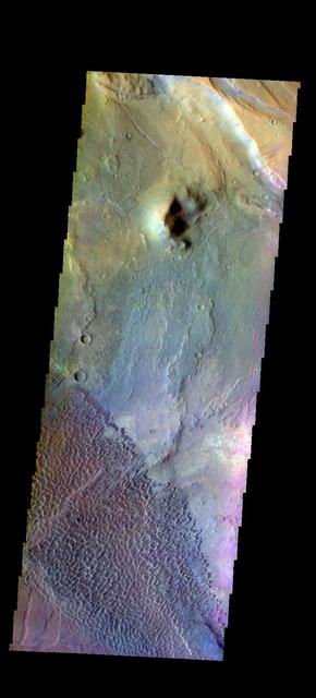This is a false color image of part of the Nili Patera dune field. High resolution imaging by other spacecraft has revealed that the dunes in this region are moving. Winds are blowing the dunes across a rough surface of regional volcanic lava flows. The paterae are calderas on the volcanic complex called Syrtis Major Planum. Dunes are found in both Nili and Meroe Paterae and in the region between the two calderas.  The THEMIS VIS camera contains 5 filters. The data from different filters can be combined in multiple ways to create a false color image. These false color images may reveal subtle variations of the surface not easily identified in a single band image.  The Odyssey spacecraft has spent over 15 years in orbit around Mars, circling the planet more than 69000 times. It holds the record for longest working spacecraft at Mars. THEMIS, the IR/VIS camera system, has collected data for the entire mission and provides images covering all seasons and lighting conditions. Over the years many features of interest have received repeated imaging, building up a suite of images covering the entire feature. From the deepest chasma to the tallest volcano, individual dunes inside craters and dune fields that encircle the north pole, channels carved by water and lava, and a variety of other feature, THEMIS has imaged them all. For the next several months the image of the day will focus on the Tharsis volcanoes, the various chasmata of Valles Marineris, and the major dunes fields. We hope you enjoy these images!  Orbit Number: 48021 Latitude: 8.95091 Longitude: 67.3366 Instrument: VIS Captured: 2012-10-11 05:22  https://photojournal.jpl.nasa.gov/catalog/PIA22009