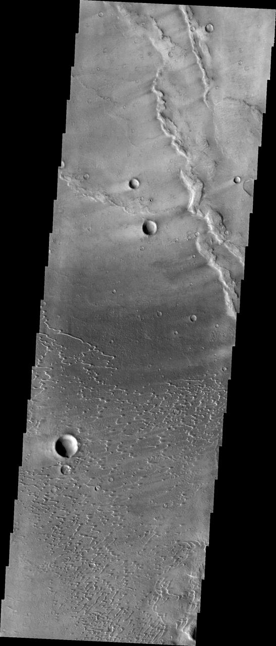 Context image This image shows part of the dune field near Meroe Patera. High resolution imaging by other spacecraft has revealed that the dunes in this region are moving. Winds are blowing the dunes across a rough surface of regional volcanic lava flows. The paterae are calderas on the volcanic complex called Syrtis Major Planum. Dunes are found in both Nili and Meroe Paterae and in the region between the two calderas. The Odyssey spacecraft has spent over 15 years in orbit around Mars, circling the planet more than 69000 times. It holds the record for longest working spacecraft at Mars. THEMIS, the IR/VIS camera system, has collected data for the entire mission and provides images covering all seasons and lighting conditions. Over the years many features of interest have received repeated imaging, building up a suite of images covering the entire feature. From the deepest chasma to the tallest volcano, individual dunes inside craters and dune fields that encircle the north pole, channels carved by water and lava, and a variety of other feature, THEMIS has imaged them all. For the next several months the image of the day will focus on the Tharsis volcanoes, the various chasmata of Valles Marineris, and the major dunes fields. We hope you enjoy these images! Orbit Number: 8536 Latitude: 7.10227 Longitude: 68.0484 Instrument: VIS Captured: 2003-11-17 06:40 https://photojournal.jpl.nasa.gov/catalog/PIA22011