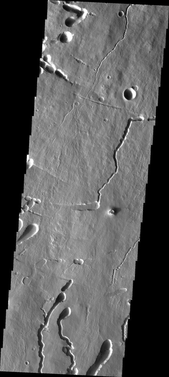This image shows part of the southern flank of Pavonis Mons. Several faults run from the left to the right side of the image. Lava flows, and the lava collapse features at the bottom of the image are aligned with the down hill direction (in this case from the top of the image to the bottom). Near the top of the image there are collapse features that run along the faults. The fault may have been been a location for lava tube development.  Pavonis Mons is one of the three aligned Tharsis Volcanoes. The four Tharsis volcanoes are Ascreaus Mons, Pavonis Mons, Arsia Mons, and Olympus Mars. All four are shield type volcanoes. Shield volcanoes are formed by lava flows originating near or at the summit, building up layers upon layers of lava. The Hawaiian islands on Earth are shield volcanoes. The three aligned volcanoes are located along a topographic rise in the Tharsis region. Along this trend there are increased tectonic features and additional lava flows. Pavonis Mons is the smallest of the four volcanoes, rising 14km above the mean Mars surface level with a width of 375km. It has a complex summit caldera, with the smallest caldera deeper than the larger caldera. Like most shield volcanoes the surface has a low profile. In the case of Pavonis Mons the average slope is only 4 degrees.  The Odyssey spacecraft has spent over 15 years in orbit around Mars, circling the planet more than 69000 times. It holds the record for longest working spacecraft at Mars. THEMIS, the IR/VIS camera system, has collected data for the entire mission and provides images covering all seasons and lighting conditions. Over the years many features of interest have received repeated imaging, building up a suite of images covering the entire feature. From the deepest chasma to the tallest volcano, individual dunes inside craters and dune fields that encircle the north pole, channels carved by water and lava, and a variety of other feature, THEMIS has imaged them all. For the next several months the image of the day will focus on the Tharsis volcanoes, the various chasmata of Valles Marineris, and the major dunes fields. We hope you enjoy these images!  Orbit Number: 15457 Latitude: -1.03884 Longitude: 246.532 Instrument: VIS Captured: 2005-06-09 00:38  https://photojournal.jpl.nasa.gov/catalog/PIA22018
