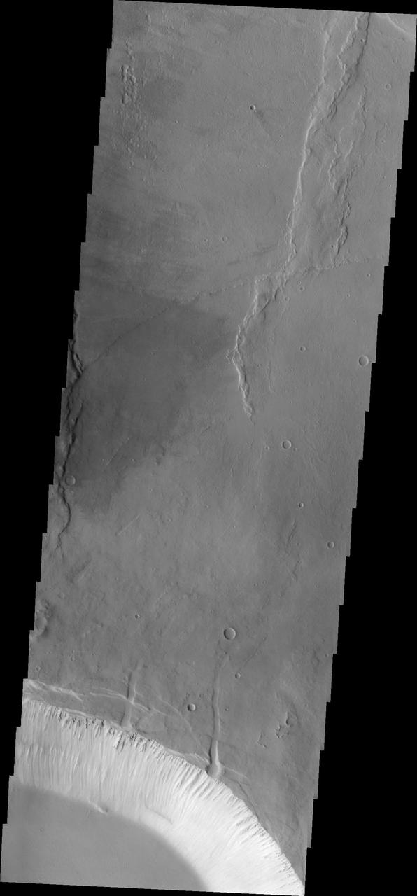 This image shows part of the two summit calderas of Pavonis Mons. The surface in the majority of the image is the floor of the larger caldera. The smaller caldera occupies the bottom of the image. In both calderas the floor is predominately flat. The final summit flow would have pooled in the caldera and cooled forming the flat floor.  Pavonis Mons is one of the three aligned Tharsis Volcanoes. The four Tharsis volcanoes are Ascreaus Mons, Pavonis Mons, Arsia Mons, and Olympus Mars. All four are shield type volcanoes. Shield volcanoes are formed by lava flows originating near or at the summit, building up layers upon layers of lava. The Hawaiian islands on Earth are shield volcanoes. The three aligned volcanoes are located along a topographic rise in the Tharsis region. Along this trend there are increased tectonic features and additional lava flows. Pavonis Mons is the smallest of the four volcanoes, rising 14km above the mean Mars surface level with a width of 375km. It has a complex summit caldera, with the smallest caldera deeper than the larger caldera. Like most shield volcanoes the surface has a low profile. In the case of Pavonis Mons the average slope is only 4 degrees.  The Odyssey spacecraft has spent over 15 years in orbit around Mars, circling the planet more than 69000 times. It holds the record for longest working spacecraft at Mars. THEMIS, the IR/VIS camera system, has collected data for the entire mission and provides images covering all seasons and lighting conditions. Over the years many features of interest have received repeated imaging, building up a suite of images covering the entire feature. From the deepest chasma to the tallest volcano, individual dunes inside craters and dune fields that encircle the north pole, channels carved by water and lava, and a variety of other feature, THEMIS has imaged them all. For the next several months the image of the day will focus on the Tharsis volcanoes, the various chasmata of Valles Marineris, and the major dunes fields. We hope you enjoy these images!  Orbit Number: 17590 Latitude: 1.13446 Longitude: 247.411 Instrument: VIS Captured: 2005-12-01 17:26  https://photojournal.jpl.nasa.gov/catalog/PIA22020