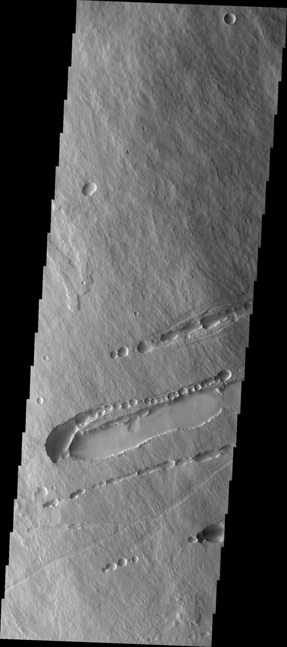 This image shows part of the southeastern flank of Pavonis Mons. Surface lava flows run down hill from the top left of the image to the bottom right. Perpendicular to that trend are several linear features. These are faults that encircle the volcano and also run along the linear trend through the three Tharsis volcanoes. This image illustrates how subsurface lava tubes collapse into the free space of the empty tube. Just to the top of the deepest depression are a series of circular pits. The pits coalesce into a linear feature near the left side of the deepest depression. The mode of formation of a lava tube starts with a surface lava flow. The sides and top of the flow cool faster than the center, eventually forming a solid, non-flowing cover of the still flowing lava. The surface flow may have followed the deeper fault block graben (a lower surface than the surroundings). Once the flow stops there remains the empty space lower than the surroundings, and collapse of the top of the tube starts in small pits which coalesce in the linear features.  Pavonis Mons is one of the three aligned Tharsis Volcanoes. The four Tharsis volcanoes are Ascreaus Mons, Pavonis Mons, Arsia Mons, and Olympus Mars. All four are shield type volcanoes. Shield volcanoes are formed by lava flows originating near or at the summit, building up layers upon layers of lava. The Hawaiian islands on Earth are shield volcanoes. The three aligned volcanoes are located along a topographic rise in the Tharsis region. Along this trend there are increased tectonic features and additional lava flows. Pavonis Mons is the smallest of the four volcanoes, rising 14km above the mean Mars surface level with a width of 375km. It has a complex summit caldera, with the smallest caldera deeper than the larger caldera. Like most shield volcanoes the surface has a low profile. In the case of Pavonis Mons the average slope is only 4 degrees.  The Odyssey spacecraft has spent over 15 years in orbit around Mars, circling the planet more than 69000 times. It holds the record for longest working spacecraft at Mars. THEMIS, the IR/VIS camera system, has collected data for the entire mission and provides images covering all seasons and lighting conditions. Over the years many features of interest have received repeated imaging, building up a suite of images covering the entire feature. From the deepest chasma to the tallest volcano, individual dunes inside craters and dune fields that encircle the north pole, channels carved by water and lava, and a variety of other feature, THEMIS has imaged them all. For the next several months the image of the day will focus on the Tharsis volcanoes, the various chasmata of Valles Marineris, and the major dunes fields. We hope you enjoy these images!  Orbit Number: 31330 Latitude: -1.26587 Longitude: 247.705 Instrument: VIS Captured: 2009-01-05 23:32  https://photojournal.jpl.nasa.gov/catalog/PIA22021