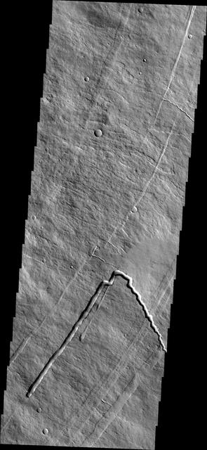 his image shows part of the eastern flank of Pavonis Mons. Surface lava flows run down hill from the upper left of the image towards the bottom right. Perpendicular to that trend are several linear features. These are faults that encircle the volcano and also run along the linear trend through the three Tharsis volcanoes. This image shows a collapsed lava tube where a flow followed the trend of a graben and then "turned" to flow down hill. Graben are linear features, so lava flows in them are linear. Where the lava flow is running along the surface of the volcano it has sinuosity just like a river. The mode of formation of a lava tube starts with a surface lava flow. The sides and top of the flow cool faster than the center, eventually forming a solid, non-flowing cover of the still flowing lava. The surface flow may have followed the deeper fault block graben (a lower surface than the surroundings). Once the flow stops there remains the empty space lower than the surroundings, and collapse of the top of the tube starts in small pits which coalesce in the linear features.  Pavonis Mons is one of the three aligned Tharsis Volcanoes. The four Tharsis volcanoes are Ascreaus Mons, Pavonis Mons, Arsia Mons, and Olympus Mars. All four are shield type volcanoes. Shield volcanoes are formed by lava flows originating near or at the summit, building up layers upon layers of lava. The Hawaiian islands on Earth are shield volcanoes. The three aligned volcanoes are located along a topographic rise in the Tharsis region. Along this trend there are increased tectonic features and additional lava flows. Pavonis Mons is the smallest of the four volcanoes, rising 14km above the mean Mars surface level with a width of 375km. It has a complex summit caldera, with the smallest caldera deeper than the larger caldera. Like most shield volcanoes the surface has a low profile. In the case of Pavonis Mons the average slope is only 4 degrees.  The Odyssey spacecraft has spent over 15 years in orbit around Mars, circling the planet more than 69000 times. It holds the record for longest working spacecraft at Mars. THEMIS, the IR/VIS camera system, has collected data for the entire mission and provides images covering all seasons and lighting conditions. Over the years many features of interest have received repeated imaging, building up a suite of images covering the entire feature. From the deepest chasma to the tallest volcano, individual dunes inside craters and dune fields that encircle the north pole, channels carved by water and lava, and a variety of other feature, THEMIS has imaged them all. For the next several months the image of the day will focus on the Tharsis volcanoes, the various chasmata of Valles Marineris, and the major dunes fields. We hope you enjoy these images!  Orbit Number: 32751 Latitude: 0.338236 Longitude: 248.74 Instrument: VIS Captured: 2009-05-03 01:57  https://photojournal.jpl.nasa.gov/catalog/PIA22022
