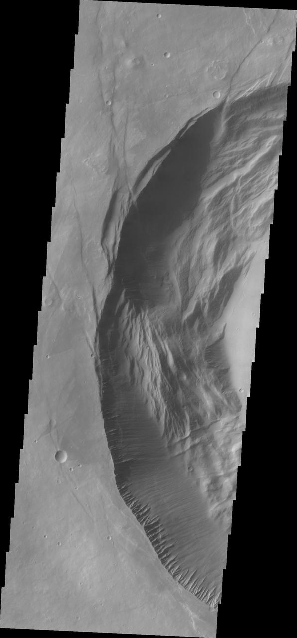 This image shows the western part of the smaller summit caldera on Pavonis Mons. On this side of the caldera is a complex region of fault related collapse of the wall of the caldera. Several intersecting faults are visible to the top and center part of the image. The faults would have formed areas of weakness in the caldera wall, precipitating into gravity driven down slope movement of materials. This caldera is approximately 5km deep. In shield volcanoes calderas are typically formed where the surface collapses into the void formed by an emptied magma chamber.  Pavonis Mons is one of the three aligned Tharsis Volcanoes. The four Tharsis volcanoes are Ascreaus Mons, Pavonis Mons, Arsia Mons, and Olympus Mars. All four are shield type volcanoes. Shield volcanoes are formed by lava flows originating near or at the summit, building up layers upon layers of lava. The Hawaiian islands on Earth are shield volcanoes. The three aligned volcanoes are located along a topographic rise in the Tharsis region. Along this trend there are increased tectonic features and additional lava flows. Pavonis Mons is the smallest of the four volcanoes, rising 14km above the mean Mars surface level with a width of 375km. It has a complex summit caldera, with the smallest caldera deeper than the larger caldera. Like most shield volcanoes the surface has a low profile. In the case of Pavonis Mons the average slope is only 4 degrees.  The Odyssey spacecraft has spent over 15 years in orbit around Mars, circling the planet more than 69000 times. It holds the record for longest working spacecraft at Mars. THEMIS, the IR/VIS camera system, has collected data for the entire mission and provides images covering all seasons and lighting conditions. Over the years many features of interest have received repeated imaging, building up a suite of images covering the entire feature. From the deepest chasma to the tallest volcano, individual dunes inside craters and dune fields that encircle the north pole, channels carved by water and lava, and a variety of other feature, THEMIS has imaged them all. For the next several months the image of the day will focus on the Tharsis volcanoes, the various chasmata of Valles Marineris, and the major dunes fields. We hope you enjoy these images!  Orbit Number: 36607 Latitude: 0.609285 Longitude: 246.862 Instrument: VIS Captured: 2010-03-16 13:44  https://photojournal.jpl.nasa.gov/catalog/PIA22024