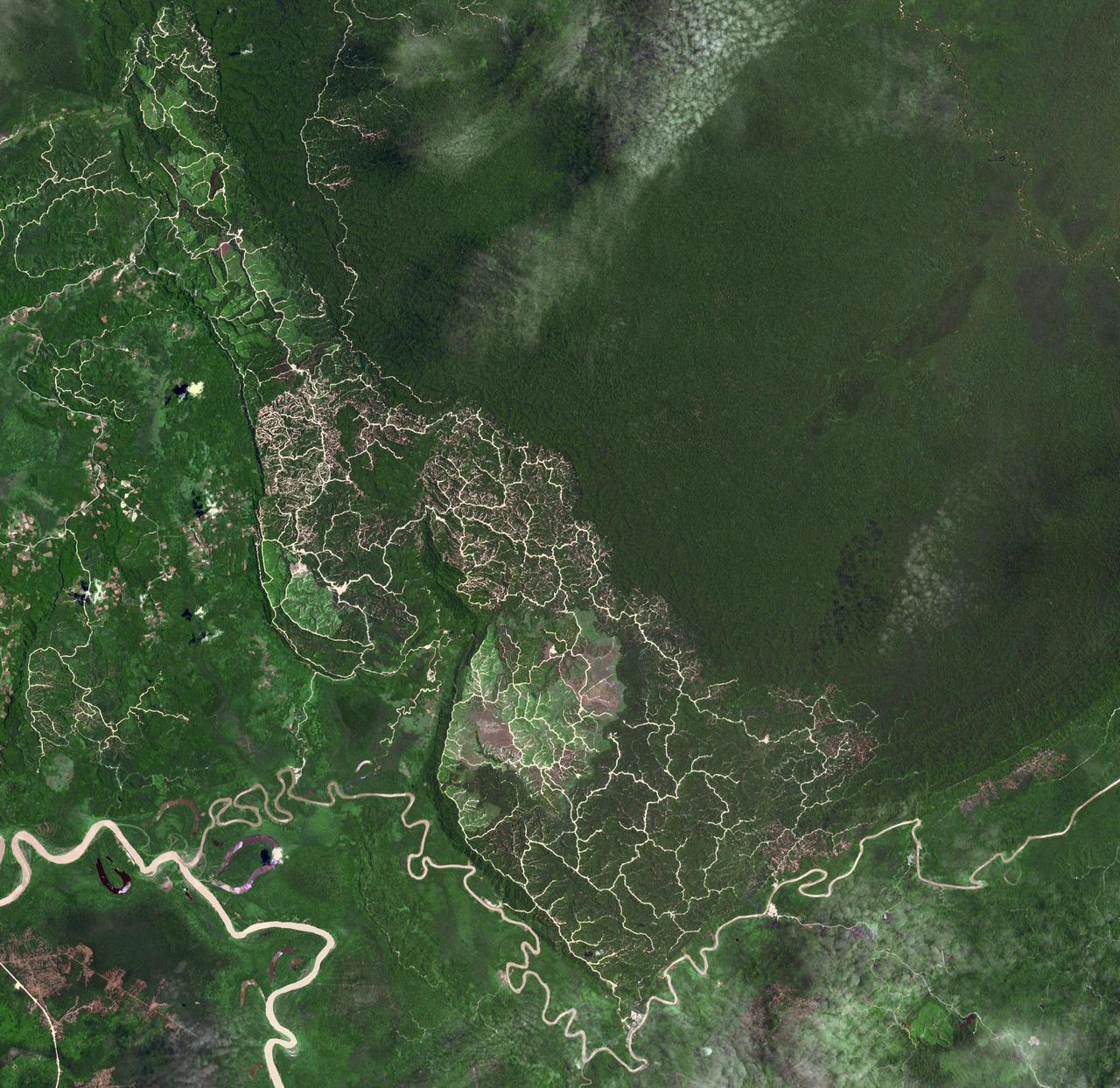 The southwestern border of Brunei with Sarawak, Malaysia is strikingly apparent due to differences in land use practice. On the Malaysian side, a spider web of small roads indicates intensive land use: in this case clearing of the forest for palm oil plantations. On the Brunei side, the virgin forest is preserved, with few if any roads cutting through the forest. The image was acquired September 10, 2012, covers an area of 38 by 38 km, and is located at 4.2 degrees north, 114.4 degrees east.   https://photojournal.jpl.nasa.gov/catalog/PIA22034