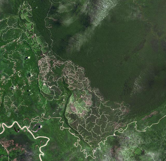 NASA image: Brunei-Sarawak Border