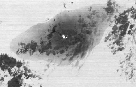 On Sept. 28, 2017, Manaro Voui volcano on Ambae island in Vanuatu began spewing ash in a moderate eruption, prompting authorities to order the evacuation of all 11,000 residents. This nighttime thermal infrared image from the Advanced Spaceborne Thermal Emission and Reflection Radiometer (ASTER), acquired on Oct. 7, shows a hot spot (white) on the volcano's summit crater, but no large eruption. Cold clouds are dark gray, the warmer island is gray, and the ocean, (warmer than the island), is light gray. The image covers an area of 17 by 26 miles (27 by 42.4 kilometers), and is centered at 15.4 degrees south, 167.8 degrees east.  https://photojournal.jpl.nasa.gov/catalog/PIA22045