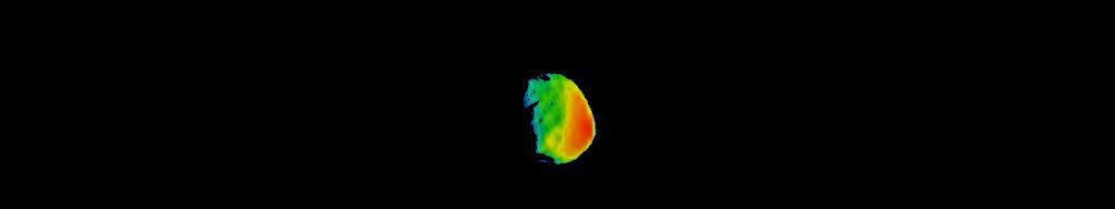 This image combines two products from the first pointing at the Martian moon Phobos by the Thermal Emission Imaging System (THEMIS) camera on NASA's Mars Odyssey orbiter, on Sept. 29, 2017. Surface-temperature information from observation in thermal-infrared wavelengths is overlaid on a more detailed image from a visible-light observation.  The left edge of the small moon was in darkness, and the right edge in morning sunlight. Phobos has an oblong shape with average diameter of about 14 miles (22 kilometers). The distance to Phobos from Odyssey during the observation was about 3,424 miles (5,511 kilometers).  Researchers will analyze the surface-temperature information from this observation and possible future THEMIS observations to learn how quickly the surface warms after sunup or cools after sundown. That could provide information about surface materials, because larger rocks heat or cool more slowly than smaller particles do. The thermal information in this image is from merging observations made in four thermal-infrared wavelength bands, centered from 11.04 microns to 14.88 microns.  Researchers have been using THEMIS to examine Mars since early 2002, but the maneuver turning the orbiter around to point the camera at Phobos was developed only recently. Odyssey orbits Mars at an altitude of about 250 miles (400 kilometers), much closer to the planet than to Phobos, which orbits about 3,700 miles (6,000 kilometers) above the surface of Mars.   https://photojournal.jpl.nasa.gov/catalog/PIA22057