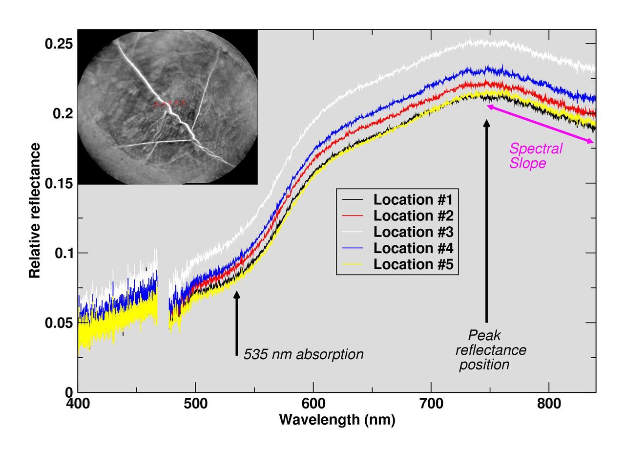 The Chemistry and Camera (ChemCam) instrument on NASA's Curiosity Mars rover examined a freshly brushed area on target rock "Christmas Cove" and found spectral evidence of hematite, an iron-oxide mineral. ChemCam sometimes zaps rocks with a laser, but can also be used, as in this case, in a "passive" mode. In this type of investigation, the instrument's telescope delivers to spectrometers the sunlight reflected from a small target point. The upper-left inset of this graphic is an image from ChemCam's Remote Micro-Imager with five labeled points that the instrument analyzed. The image covers an area about 2 inches (5 centimeters) wide, and the bright lines are fractures in the rock filled with calcium sulfate minerals. The five charted lines of the graphic correspond to those five points and show the spectrometer measurements of brightness at thousands of different wavelengths, from 400 nanometers (at the violet end of the visible-light spectrum) to 840 nanometers (in near-infrared). Sections of the spectrum measurements that are helpful for identifying hematite are annotated. These include a dip around 535 nanometers, the green-light portion of the spectrum at which fine-grained hematite tends to absorb more light and reflect less compared to other parts of the spectrum. That same green-absorbing characteristic of the hematite makes it appear purplish when imaged through special filters of Curiosity's Mast Camera and even in usual color images. The spectra also show maximum reflectance values near 750 nanometers, followed by a steep decrease in the spectral slope toward 840 nanometers, both of which are consistent with hematite. This ChemCam examination of Christmas Cove was part of an experiment to determine whether the rock had evidence of hematite under a tan coating of dust. The target area was brushed with Curiosity's Dust Removal Tool prior to these ChemCam passive observations on Sept. 17, 2017, during the 1,819th Martian day, or sol, of Curiosity's work on Mars. https://photojournal.jpl.nasa.gov/catalog/PIA22068