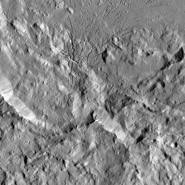 NASA image: Spiderweb-like Fractures in Occator Crater
