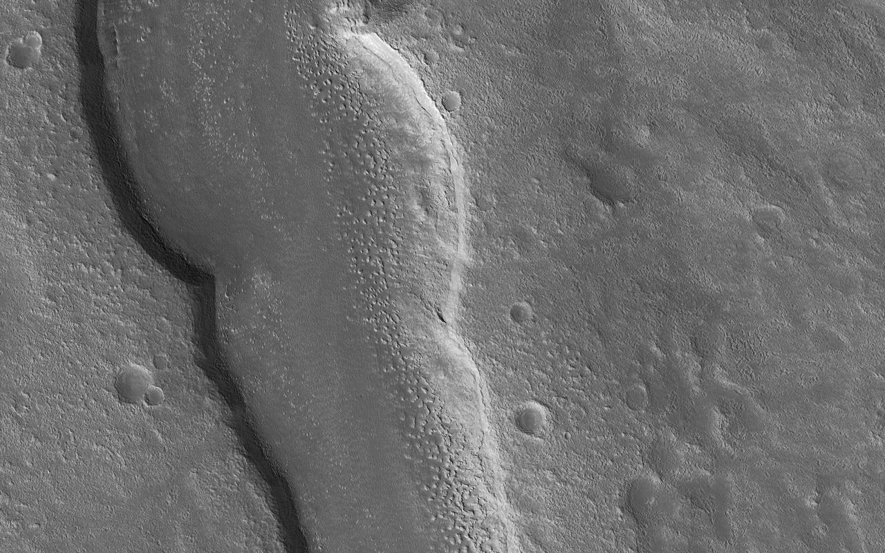 The goal of this observation from NASA' Mars Reconnaissance Orbiter (MRO) is to determine the source of the ridge within a possible moraine that is also present in another HiRISE image. A moraine is a mass of rocks and sediment carried down and deposited by a glacier.  If the structure is a moraine, we should expect to find two sources of debris converging in the valley. If the sources are carrying lots of debris, there is a good chance of finding more moraine features further up the valley.  The map is projected here at a scale of 50 centimeters (19.7 inches) per pixel. [The original image scale is 59.5 centimeters (23.4 inches) per pixel (with 2 x 2 binning); objects on the order of 179 centimeters (70.5 inches) across are resolved.] North is up.  https://photojournal.jpl.nasa.gov/catalog/PIA22124