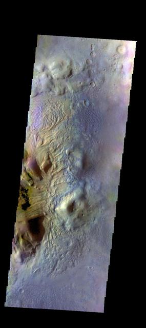 This image of Moreux Crater shows the eastern side of the central peak, as well as the nearby sand dunes. In this false color image sand dunes are "blue". Smaller patches of blue are located on the central peak materials and indicate where surface winds have moved fine materials on/off the peak deposits. The pitted and curvilinear morphology of the central peak deposits have been interpreted to have formed by glacial activity. Moreux Crater is located in northern Arabia Terra and has a diameter of 138 kilometers.  The THEMIS VIS camera contains 5 filters. The data from different filters can be combined in multiple ways to create a false color image. These false color images may reveal subtle variations of the surface not easily identified in a single band image.  The Odyssey spacecraft has spent over 15 years in orbit around Mars, circling the planet more than 69000 times. It holds the record for longest working spacecraft at Mars. THEMIS, the IR/VIS camera system, has collected data for the entire mission and provides images covering all seasons and lighting conditions. Over the years many features of interest have received repeated imaging, building up a suite of images covering the entire feature. From the deepest chasma to the tallest volcano, individual dunes inside craters and dune fields that encircle the north pole, channels carved by water and lava, and a variety of other feature, THEMIS has imaged them all. For the next several months the image of the day will focus on the Tharsis volcanoes, the various chasmata of Valles Marineris, and the major dunes fields. We hope you enjoy these images!  Orbit Number: 12518 Latitude: 41.8223 Longitude: 44.7638 Instrument: VIS Captured: 2004-10-10 02:55  https://photojournal.jpl.nasa.gov/catalog/PIA22126