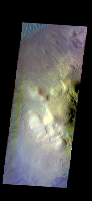 This image of Moreux Crater shows the highest elevations of the central peak, as well as the nearby sand dunes. In this false color image sand dunes are "blue". Smaller patches of blue are located on the central peak materials and indicate where surface winds have moved fine materials on/off the peak deposits. The pitted and curvilinear morphology of the central peak deposits have been interpreted to have formed by glacial activity. Moreux Crater is located in northern Arabia Terra and has a diameter of 138 kilometers.  The THEMIS VIS camera contains 5 filters. The data from different filters can be combined in multiple ways to create a false color image. These false color images may reveal subtle variations of the surface not easily identified in a single band image.  The Odyssey spacecraft has spent over 15 years in orbit around Mars, circling the planet more than 69000 times. It holds the record for longest working spacecraft at Mars. THEMIS, the IR/VIS camera system, has collected data for the entire mission and provides images covering all seasons and lighting conditions. Over the years many features of interest have received repeated imaging, building up a suite of images covering the entire feature. From the deepest chasma to the tallest volcano, individual dunes inside craters and dune fields that encircle the north pole, channels carved by water and lava, and a variety of other feature, THEMIS has imaged them all. For the next several months the image of the day will focus on the Tharsis volcanoes, the various chasmata of Valles Marineris, and the major dunes fields. We hope you enjoy these images!  Orbit Number: 46786 Latitude: 41.7667 Longitude: 44.3482 Instrument: VIS Captured: 2012-07-01 13:41  https://photojournal.jpl.nasa.gov/catalog/PIA22127