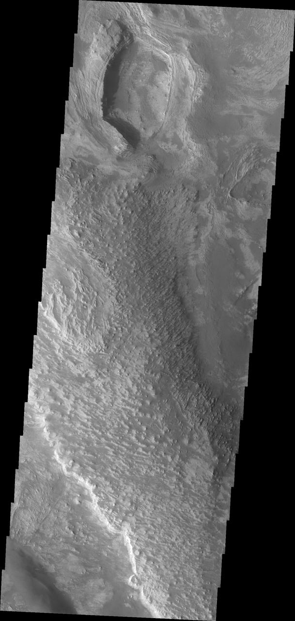 Melas Chasma is part of the largest canyon system on Mars, Valles Marineris. At only 563 km long (349 miles) it is not the longest canyon, but it is the widest. Located in the center of Valles Marineris, it has depths up to 9 km below the surrounding plains, and is the location of many large landslide deposits, as will as layered materials and sand dunes. There is evidence of both water and wind action as modes of formation for many of the interior deposits. This VIS image shows part of a large ridge of material near the south central part the canyon. The roughest looking material is the top of the ridge.  The Odyssey spacecraft has spent over 15 years in orbit around Mars, circling the planet more than 69000 times. It holds the record for longest working spacecraft at Mars. THEMIS, the IR/VIS camera system, has collected data for the entire mission and provides images covering all seasons and lighting conditions. Over the years many features of interest have received repeated imaging, building up a suite of images covering the entire feature. From the deepest chasma to the tallest volcano, individual dunes inside craters and dune fields that encircle the north pole, channels carved by water and lava, and a variety of other feature, THEMIS has imaged them all. For the next several months the image of the day will focus on the Tharsis volcanoes, the various chasmata of Valles Marineris, and the major dunes fields. We hope you enjoy these images!  Orbit Number: 16741 Latitude: -10.6629 Longitude: 285.637 Instrument: VIS Captured: 2005-09-22 17:54  https://photojournal.jpl.nasa.gov/catalog/PIA22130