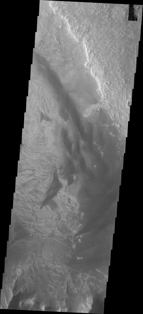 Melas Chasma is part of the largest canyon system on Mars, Valles Marineris. At only 563 km long (349 miles) it is not the longest canyon, but it is the widest. Located in the center of Valles Marineris, it has depths up to 9 km below the surrounding plains, and is the location of many large landslide deposits, as will as layered materials and sand dunes. There is evidence of both water and wind action as modes of formation for many of the interior deposits. Today's image contains a large region of dunes between the canyon cliff face and the large ridge of material at the mid-elevation of the canyon. Fine materials have been concentrated into the dunes.  The Odyssey spacecraft has spent over 15 years in orbit around Mars, circling the planet more than 69000 times. It holds the record for longest working spacecraft at Mars. THEMIS, the IR/VIS camera system, has collected data for the entire mission and provides images covering all seasons and lighting conditions. Over the years many features of interest have received repeated imaging, building up a suite of images covering the entire feature. From the deepest chasma to the tallest volcano, individual dunes inside craters and dune fields that encircle the north pole, channels carved by water and lava, and a variety of other feature, THEMIS has imaged them all. For the next several months the image of the day will focus on the Tharsis volcanoes, the various chasmata of Valles Marineris, and the major dunes fields. We hope you enjoy these images!  Orbit Number: 26525 Latitude: -11.3125 Longitude: 285.57 Instrument: VIS Captured: 2007-12-07 07:23  https://photojournal.jpl.nasa.gov/catalog/PIA22134