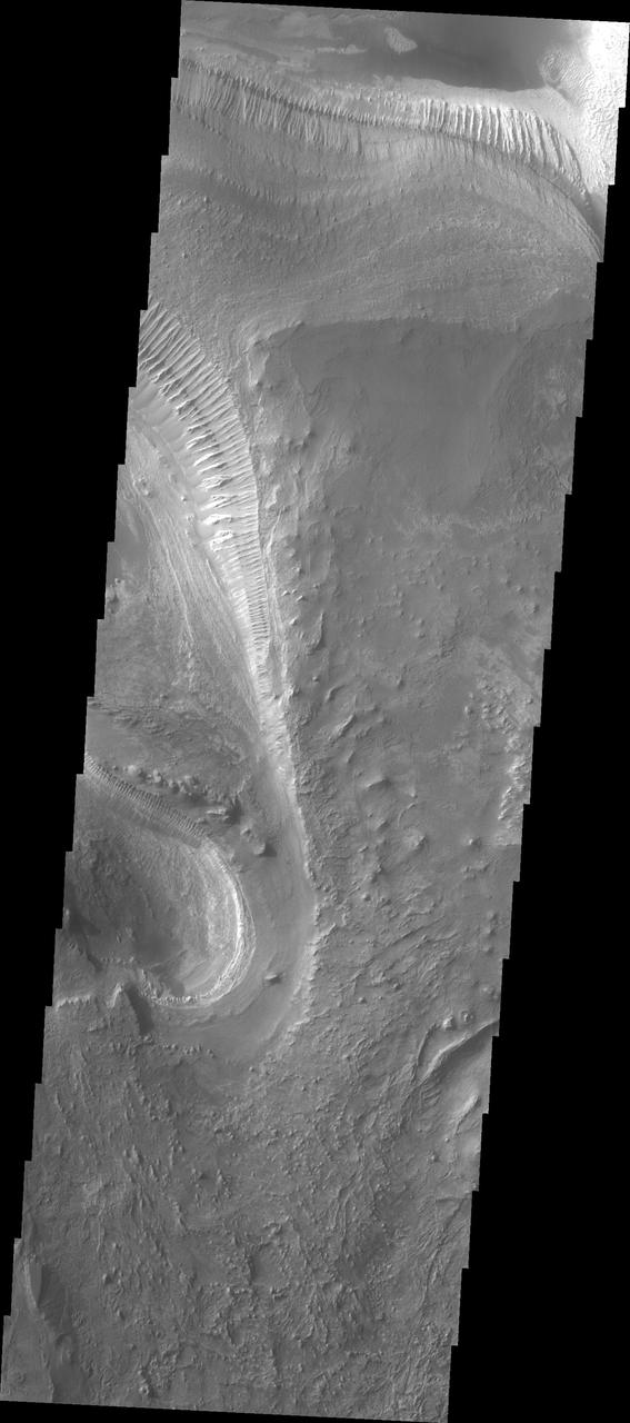 Melas Chasma is part of the largest canyon system on Mars, Valles Marineris. At only 563 km long (349 miles) it is not the longest canyon, but it is the widest. Located in the center of Valles Marineris, it has depths up to 9 km below the surrounding plains, and is the location of many large landslide deposits, as will as layered materials and sand dunes. There is evidence of both water and wind action as modes of formation for many of the interior deposits. Today's image is just a bit further to the west of yesterday's. Here there are no dunes, but extensive outcrops of layered material. It is possible that these layered deposits were formed by sediments settling in a lake.  The Odyssey spacecraft has spent over 15 years in orbit around Mars, circling the planet more than 69000 times. It holds the record for longest working spacecraft at Mars. THEMIS, the IR/VIS camera system, has collected data for the entire mission and provides images covering all seasons and lighting conditions. Over the years many features of interest have received repeated imaging, building up a suite of images covering the entire feature. From the deepest chasma to the tallest volcano, individual dunes inside craters and dune fields that encircle the north pole, channels carved by water and lava, and a variety of other feature, THEMIS has imaged them all. For the next several months the image of the day will focus on the Tharsis volcanoes, the various chasmata of Valles Marineris, and the major dunes fields. We hope you enjoy these images!  Orbit Number: 4335 Latitude: -10.3718 Longitude: 285.195 Instrument: VIS Captured: 2002-12-06 09:30  https://photojournal.jpl.nasa.gov/catalog/PIA22135