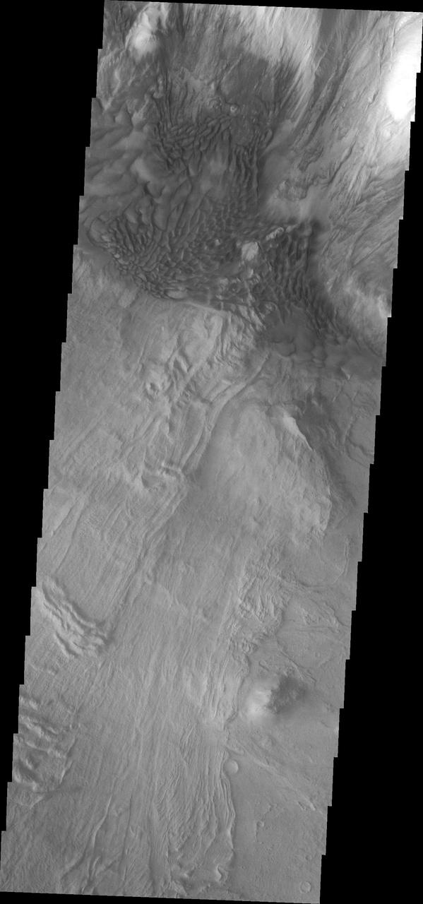 Melas Chasma is part of the largest canyon system on Mars, Valles Marineris. At only 563 km long (349 miles) it is not the longest canyon, but it is the widest. Located in the center of Valles Marineris, it has depths up to 9 km below the surrounding plains, and is the location of many large landslide deposits, as will as layered materials and sand dunes. There is evidence of both water and wind action as modes of formation for many of the interior deposits. This VIS image is located along the northern cliff face of the chasma. The linear features are large landslide surfaces. A region of sand dunes is located along the change in elevation from the cliff face at the top of the image and the floor of the canyon at the bottom of the image.  The Odyssey spacecraft has spent over 15 years in orbit around Mars, circling the planet more than 69000 times. It holds the record for longest working spacecraft at Mars. THEMIS, the IR/VIS camera system, has collected data for the entire mission and provides images covering all seasons and lighting conditions. Over the years many features of interest have received repeated imaging, building up a suite of images covering the entire feature. From the deepest chasma to the tallest volcano, individual dunes inside craters and dune fields that encircle the north pole, channels carved by water and lava, and a variety of other feature, THEMIS has imaged them all. For the next several months the image of the day will focus on the Tharsis volcanoes, the various chasmata of Valles Marineris, and the major dunes fields. We hope you enjoy these images!  Orbit Number: 31790 Latitude: -10.3951 Longitude: 290.141 Instrument: VIS Captured: 2009-02-12 20:47  https://photojournal.jpl.nasa.gov/catalog/PIA22137