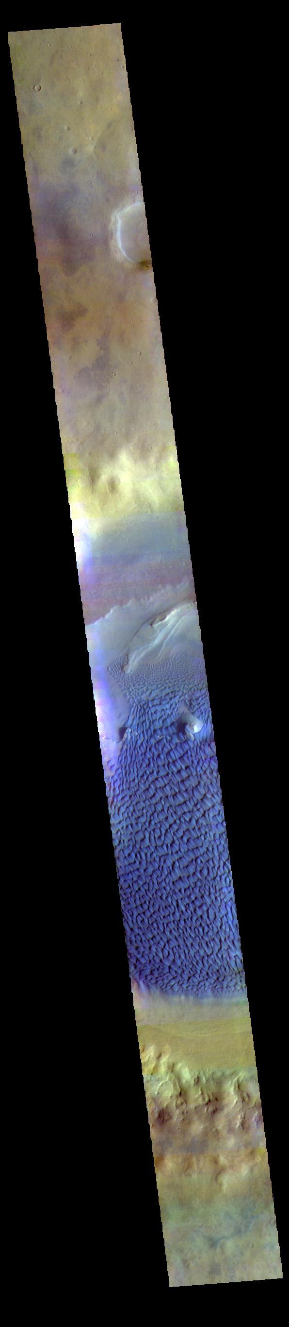 This is a false color image of Rabe Crater. In this combination of filters "blue" typically means basaltic sand. This VIS image crosses the entire crater and demonstrates how extensive the dunes are on the floor of Rabe Crater.  Rabe Crater is 108 km (67 miles) across. Craters of similar size often have flat floors. Rabe Crater has some areas of flat floor, but also has a large complex pit occupying a substantial part of the floor. The interior fill of the crater is thought to be layered sediments created by wind and or water action. The pit is eroded into this material. The eroded materials appear to have stayed within the crater forming a large sand sheet with surface dune forms as well as individual dunes where the crater floor is visible. The dunes also appear to be moving from the upper floor level into the pit.  The THEMIS VIS camera contains 5 filters. The data from different filters can be combined in multiple ways to create a false color image. These false color images may reveal subtle variations of the surface not easily identified in a single band image.  The Odyssey spacecraft has spent over 15 years in orbit around Mars, circling the planet more than 69000 times. It holds the record for longest working spacecraft at Mars. THEMIS, the IR/VIS camera system, has collected data for the entire mission and provides images covering all seasons and lighting conditions. Over the years many features of interest have received repeated imaging, building up a suite of images covering the entire feature. From the deepest chasma to the tallest volcano, individual dunes inside craters and dune fields that encircle the north pole, channels carved by water and lava, and a variety of other feature, THEMIS has imaged them all. For the next several months the image of the day will focus on the Tharsis volcanoes, the various chasmata of Valles Marineris, and the major dunes fields. We hope you enjoy these images!  Orbit Number: 67013 Latitude: -43.2572 Longitude: 34.5875 Instrument: VIS Captured: 2017-01-21 18:25  https://photojournal.jpl.nasa.gov/catalog/PIA22147