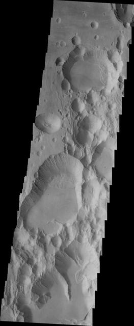 The three large aligned Tharsis volcanoes are Arsia Mons, Pavonis Mons and Ascreaus Mons (from south to north). There are collapse features on all three volcanoes, on the southwestern and northeastern flanks. This alignment may indicate a large fracture/vent system was responsible for the eruptions that formed all three volcanoes. This VIS image shows part of the southern flank of Arsia Mons, along the center of the aligned fracture system. The scalloped depressions are most likely created by collapse of the roof of lava tubes. Lava tubes originate during eruption event, when the margins of a flow harden around a still flowing lava stream. When an eruption ends these can become hollow tubes within the flow. With time, the roof of the tube may collapse into the empty space below. The tubes are linear, so the collapse of the roof creates a linear depression. In this region, the complexity of the collapse and faulting has created a unique surface. This region has collapse depressions with floors at a variety of elevations, landslide deposits where material has continued to fall into the depression and depression sizes from small to large.  Arsia Mons is the southernmost of the Tharsis volcanoes. It is 270 miles (450km) in diameter, almost 12 miles (20km) high, and the summit caldera is 72 miles (120km) wide. For comparison, the largest volcano on Earth is Mauna Loa. From its base on the sea floor, Mauna Loa measures only 6.3 miles high and 75 miles in diameter. A large volcanic crater known as a caldera is located at the summit of all of the Tharsis volcanoes. These calderas are produced by massive volcanic explosions and collapse. The Arsia Mons summit caldera is larger than many volcanoes on Earth.  The Odyssey spacecraft has spent over 15 years in orbit around Mars, circling the planet more than 69000 times. It holds the record for longest working spacecraft at Mars. THEMIS, the IR/VIS camera system, has collected data for the entire mission and provides images covering all seasons and lighting conditions. Over the years many features of interest have received repeated imaging, building up a suite of images covering the entire feature. From the deepest chasma to the tallest volcano, individual dunes inside craters and dune fields that encircle the north pole, channels carved by water and lava, and a variety of other feature, THEMIS has imaged them all. For the next several months the image of the day will focus on the Tharsis volcanoes, the various chasmata of Valles Marineris, and the major dunes fields. We hope you enjoy these images!  Orbit Number: 33925 Latitude: -10.6619 Longitude: 239.412 Instrument: VIS Captured: 2009-08-07 16:10  https://photojournal.jpl.nasa.gov/catalog/PIA22158