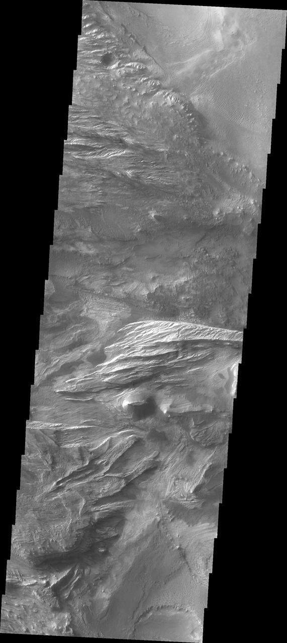Candor Chasma is one of the largest canyons that make up Valles Marineris. It is approximately 810 km long (503 miles) and has is divided into two regions - eastern and western Candor. Candor is located south of Ophir Chasma and north of Melas Chasma. The border with Melas Chasma contains many large landslide deposits. The floor of Candor Chasma includes a variety of landforms, including layered deposits, dunes, landslide deposits and steep sided cliffs and mesas. Many forms of erosion have shaped Chandor Chasma. There is evidence of wind and water erosion, as well as significant gravity driven mass wasting (landslides). This image shows part of western Candor and the erosion of a large mesa. Layered materials are visible throughout the image and small dunes exist in several places.  The Odyssey spacecraft has spent over 15 years in orbit around Mars, circling the planet more than 69000 times. It holds the record for longest working spacecraft at Mars. THEMIS, the IR/VIS camera system, has collected data for the entire mission and provides images covering all seasons and lighting conditions. Over the years many features of interest have received repeated imaging, building up a suite of images covering the entire feature. From the deepest chasma to the tallest volcano, individual dunes inside craters and dune fields that encircle the north pole, channels carved by water and lava, and a variety of other feature, THEMIS has imaged them all. For the next several months the image of the day will focus on the Tharsis volcanoes, the various chasmata of Valles Marineris, and the major dunes fields. We hope you enjoy these images!  Orbit Number: 4360 Latitude: -6.08522 Longitude: 284.85 Instrument: VIS Captured: 2002-12-08 10:51  https://photojournal.jpl.nasa.gov/catalog/PIA22160