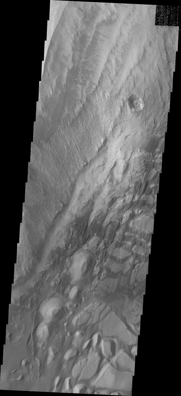 The bottom half of this image of central Candor Chasma shows a surface topography called chaos. Chaos is a region of small to medium sized mesas surrounded by valleys that are usually the same elevation. In this image sand and sand dunes are accumulating in the valleys and increasing in depth.  Candor Chasma is one of the largest canyons that make up Valles Marineris. It is approximately 810 km long (503 miles) and has is divided into two regions - eastern and western Candor. Candor is located south of Ophir Chasma and north of Melas Chasma. The border with Melas Chasma contains many large landslide deposits. The floor of Candor Chasma includes a variety of landforms, including layered deposits, dunes, landslide deposits and steep sided cliffs and mesas. Many forms of erosion have shaped Chandor Chasma. There is evidence of wind and water erosion, as well as significant gravity driven mass wasting (landslides).  The Odyssey spacecraft has spent over 15 years in orbit around Mars, circling the planet more than 69000 times. It holds the record for longest working spacecraft at Mars. THEMIS, the IR/VIS camera system, has collected data for the entire mission and provides images covering all seasons and lighting conditions. Over the years many features of interest have received repeated imaging, building up a suite of images covering the entire feature. From the deepest chasma to the tallest volcano, individual dunes inside craters and dune fields that encircle the north pole, channels carved by water and lava, and a variety of other feature, THEMIS has imaged them all. For the next several months the image of the day will focus on the Tharsis volcanoes, the various chasmata of Valles Marineris, and the major dunes fields. We hope you enjoy these images!  Orbit Number: 18251 Latitude: -6.45589 Longitude: 287.35 Instrument: VIS Captured: 2006-01-25 01:39  https://photojournal.jpl.nasa.gov/catalog/PIA22168