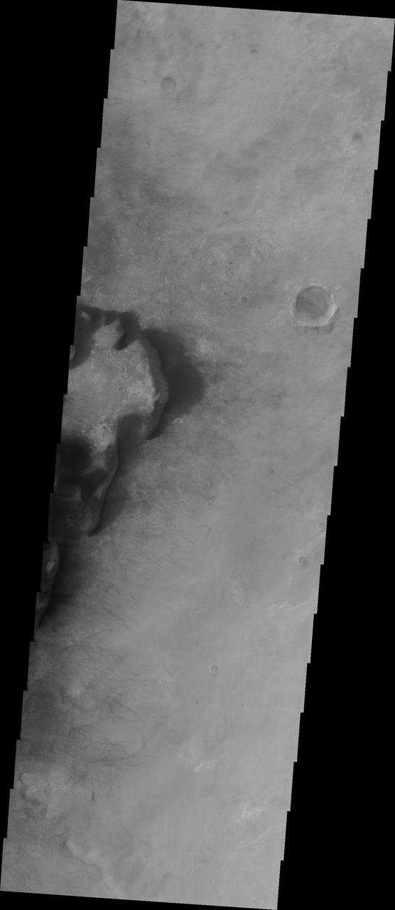 Kaiser Crater is located in the southern hemisphere in the Noachis region west of Hellas Planitia. Kaiser Crater is just one of several large craters with extensive dune fields on the crater floor. Other nearby dune filled craters are Proctor, Russell, and Rabe. Kaiser Crater is 207 km (129 miles) in diameter. The dunes are located in the southeastern part of the crater floor. Most of the individual dunes in Kaiser Crater are barchan dunes. Barchan dunes are crescent shaped with the points of the crescent pointing downwind. The sand is blown up the low angle side of the dune and then tumbles down the steep slip face. This dune type forms on hard surfaces where there is limited amounts of sand. Barchan dunes can merge together over time with increased sand in the local area.  The Odyssey spacecraft has spent over 15 years in orbit around Mars, circling the planet more than 69000 times. It holds the record for longest working spacecraft at Mars. THEMIS, the IR/VIS camera system, has collected data for the entire mission and provides images covering all seasons and lighting conditions. Over the years many features of interest have received repeated imaging, building up a suite of images covering the entire feature. From the deepest chasma to the tallest volcano, individual dunes inside craters and dune fields that encircle the north pole, channels carved by water and lava, and a variety of other feature, THEMIS has imaged them all. For the next several months the image of the day will focus on the Tharsis volcanoes, the various chasmata of Valles Marineris, and the major dunes fields. We hope you enjoy these images!  Orbit Number: 1036 Latitude: -46.7795 Longitude: 20.2075 Instrument: VIS Captured: 2002-03-09 20:07  https://photojournal.jpl.nasa.gov/catalog/PIA22172