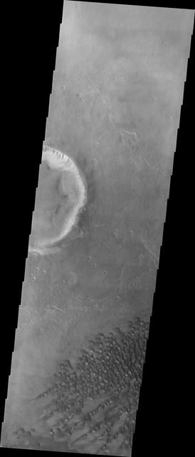 NASA image: Investigating Mars: Kaiser Crater Dunes