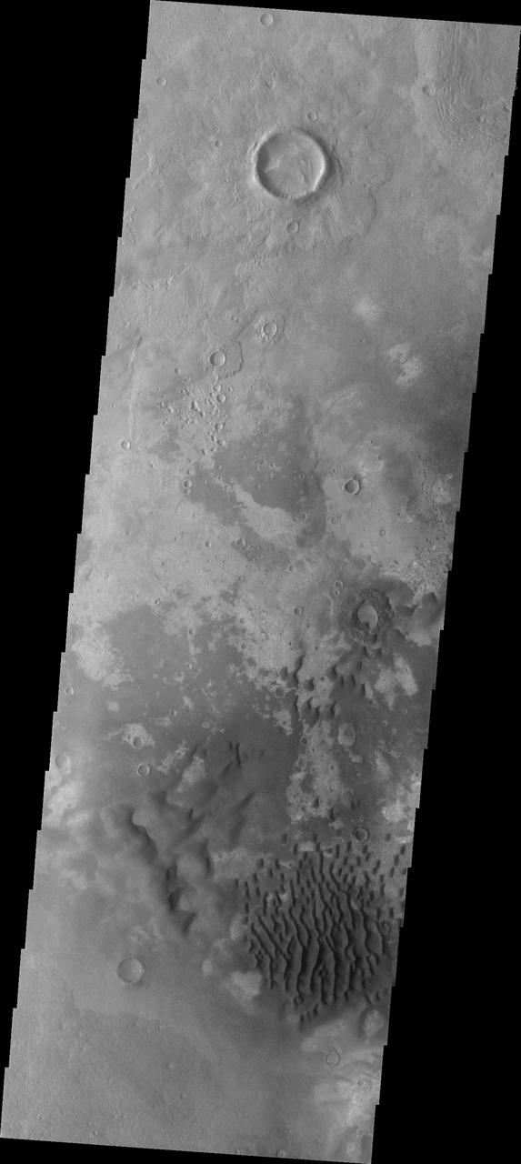 This VIS image of Kaiser Crater shows a region of the dunes with varied appearances. The different dune forms developed due to different amounts of available sand, different wind directions, and the texture of the crater floor. Dune size, shape, and spacing is controlled by a variety of factors. Note the dune that fills half of the crater in the center of the image. Kaiser Crater is located in the southern hemisphere in the Noachis region west of Hellas Planitia. Kaiser Crater is just one of several large craters with extensive dune fields on the crater floor. Other nearby dune filled craters are Proctor, Russell, and Rabe. Kaiser Crater is 207 km (129 miles) in diameter. The dunes are located in the southern part of the crater floor. The Odyssey spacecraft has spent over 15 years in orbit around Mars, circling the planet more than 71000 times. It holds the record for longest working spacecraft at Mars. THEMIS, the IR/VIS camera system, has collected data for the entire mission and provides images covering all seasons and lighting conditions. Over the years many features of interest have received repeated imaging, building up a suite of images covering the entire feature. From the deepest chasma to the tallest volcano, individual dunes inside craters and dune fields that encircle the north pole, channels carved by water and lava, and a variety of other feature, THEMIS has imaged them all. For the next several months the image of the day will focus on the Tharsis volcanoes, the various chasmata of Valles Marineris, and the major dunes fields. We hope you enjoy these images! Orbit Number: 14953 Latitude: -46.7919 Longitude: 18.4314 Instrument: VIS Captured: 2005-04-28 12:59 https://photojournal.jpl.nasa.gov/catalog/PIA22175