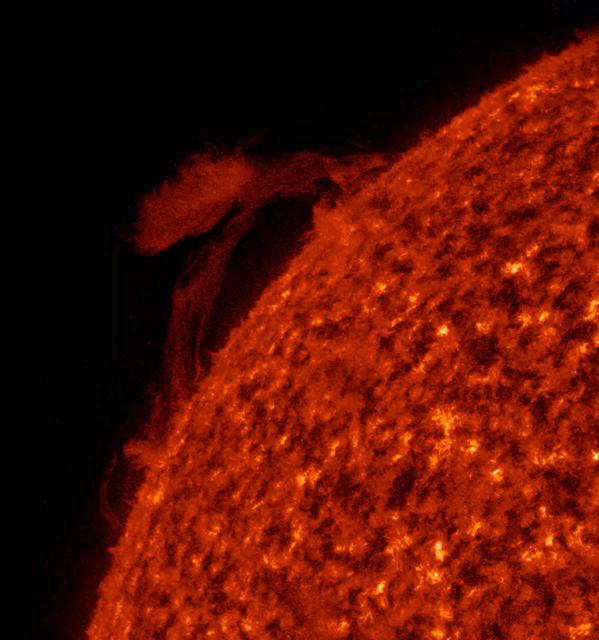 NASA image: Reversing Prominence