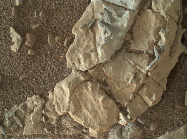The dark, stick-shaped features clustered on this Martian rock are about the size of grains of rice. This is a focus-merged view from the Mars Hand Lens Imager (MAHLI) camera on NASA's Curiosity Mars rover. It covers an area about 2 inches (5 centimeters) across. The focus-merged product was generated autonomously by MAHLI combining the in-focus portions of a few separate images taken at different focus settings on Jan. 1, 2018, during the 1,922nd Martian day, or sol, of Curiosity's work on Mars. This rock target, called "Haroldswick," is near the southern, uphill edge of "Vera Rubin Ridge" on lower Mount Sharp. The origin of the stick-shaped features is uncertain. One possibility is that they are erosion-resistant bits of dark material from mineral veins cutting through rocks in this area. https://photojournal.jpl.nasa.gov/catalog/PIA22213