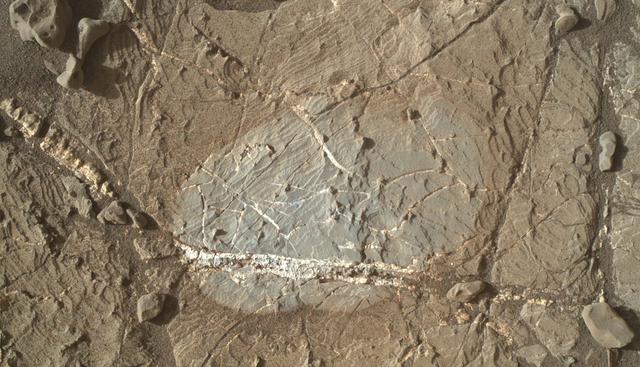 NASA image: Brushed Vein in 'Rona' on 'Vera Rubin Ridge'