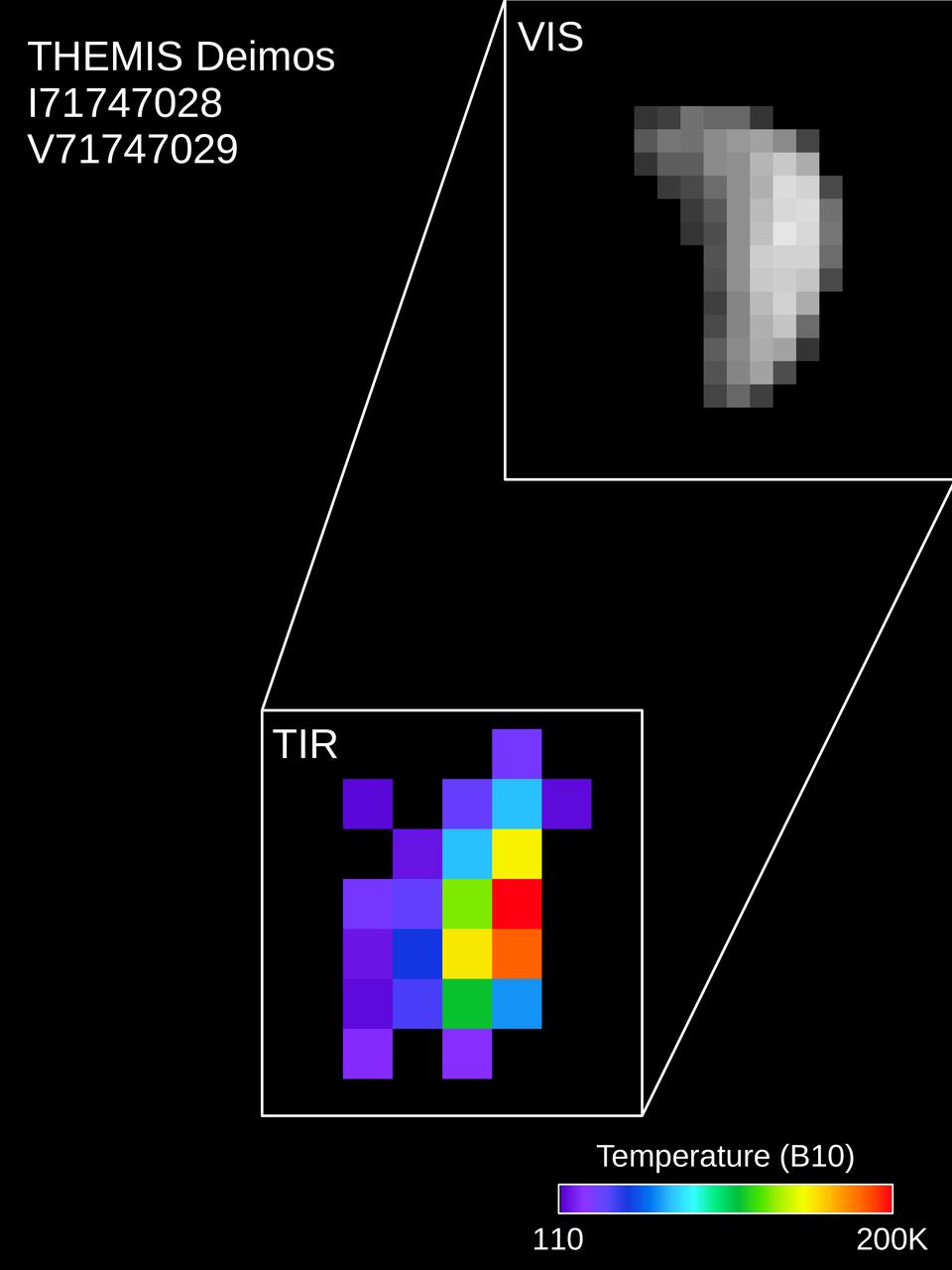Colors in this image of the Martian moon Deimos indicate a range of surface temperatures detected by observing the moon on February 15, 2018, with the Thermal Emission Imaging System (THEMIS) camera on NASA's Mars Odyssey orbiter.  The left edge of the small moon is in darkness, and the right edge in sunlight. Temperature information was derived from thermal-infrared imaging such as the grayscale image shown smaller at lower left with the moon in the same orientation. The color-coding merges information from THEMIS observations made in 10 thermal-infrared wavelength bands.  This was the first observation of Deimos by Mars Odyssey; the spacecraft first imaged Mars' other moon, Phobos, on September 29, 2017. Researchers have been using THEMIS to examine Mars since early 2002, but the maneuver turning the orbiter around to point the camera at Phobos was developed only recently.  https://photojournal.jpl.nasa.gov/catalog/PIA22250
