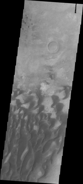 NASA image: Investigating Mars: Kaiser Crater Dunes