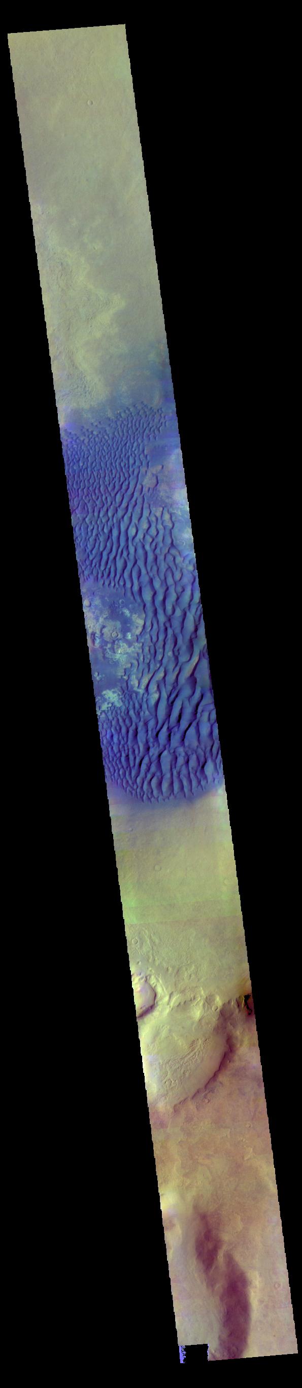 This is a false color image of Kaiser Crater. In this combination of filters "blue" typically means basaltic sand. This VIS image crosses 3/4 of the crater and demonstrates how extensive the dunes are on the floor of Kaiser Crater.  Kaiser Crater is located in the southern hemisphere in the Noachis region west of Hellas Planitia. Kaiser Crater is just one of several large craters with extensive dune fields on the crater floor. Other nearby dune filled craters are Proctor, Russell, and Rabe. Kaiser Crater is 207 km (129 miles) in diameter. The dunes are located in the southern part of the crater floor.  The THEMIS VIS camera contains 5 filters. The data from different filters can be combined in multiple ways to create a false color image. These false color images may reveal subtle variations of the surface not easily identified in a single band image.  The Odyssey spacecraft has spent over 15 years in orbit around Mars, circling the planet more than 71,000 times. It holds the record for longest working spacecraft at Mars. THEMIS, the IR/VIS camera system, has collected data for the entire mission and provides images covering all seasons and lighting conditions. Over the years many features of interest have received repeated imaging, building up a suite of images covering the entire feature. From the deepest chasma to the tallest volcano, individual dunes inside craters and dune fields that encircle the north pole, channels carved by water and lava, and a variety of other feature, THEMIS has imaged them all. For the next several months the image of the day will focus on the Tharsis volcanoes, the various chasmata of Valles Marineris, and the major dunes fields. We hope you enjoy these images!  Orbit Number: 66602 Latitude: -47.0551 Longitude: 19.446 Instrument: VIS Captured: 2016-12-18 21:42  https://photojournal.jpl.nasa.gov/catalog/PIA22265