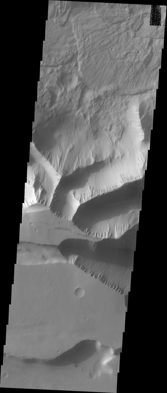 Tithonium Chasma has numerous large landslide deposits. At the bottom of this VIS image is the high plateau between Tithonium Chasma and Ius Chasma (off the bottom of the frame). The resistant material of the plateau surface forms the linear ridges of the canyon wall. Erosion of the walls cover the lower slopes. Large landslides have changed the walls and floor of the canyon. A landslide is a failure of slope due to gravity. They initiate due to several reasons. A lower layer of poorly cemented/resistant material may have been eroded, undermining the wall above which then collapses; earth quake seismic waves can cause the slope to collapse; and even an impact event near the canyon wall can cause collapse. As millions of tons of material fall and slide down slope a scalloped cavity forms at the upper part where the slope failure occurred. At the material speeds downhill it will pick up more of the underlying slope, increasing the volume of material entrained into the landslide. As the landslide material reaches the canyon bottom it spreads out and eventually comes to rest. The edge of the deposit is lobate, and may be affected by running up against pre-existing features on the canyon floor. Most Martian landslide have radial grooves on the slide surface. Tithonium Chasma is at the western end of Valles Marineris. Valles Marineris is over 4000 kilometers long, wider than the United States. Tithonium Chasma is almost 810 kilometers long (499 miles), 50 kilometers wide and over 6 kilometers deep. In comparison, the Grand Canyon in Arizona is about 175 kilometers long, 30 kilometers wide, and only 2 kilometers deep. The canyons of Valles Marineris were formed by extensive fracturing and pulling apart of the crust during the uplift of the vast Tharsis plateau. Landslides have enlarged the canyon walls and created deposits on the canyon floor. Weathering of the surface and influx of dust and sand have modified the canyon floor, both creating and modifying layered materials. The Odyssey spacecraft has spent over 15 years in orbit around Mars, circling the planet more than 71,000 times. It holds the record for longest working spacecraft at Mars. THEMIS, the IR/VIS camera system, has collected data for the entire mission and provides images covering all seasons and lighting conditions. Over the years many features of interest have received repeated imaging, building up a suite of images covering the entire feature. From the deepest chasma to the tallest volcano, individual dunes inside craters and dune fields that encircle the north pole, channels carved by water and lava, and a variety of other feature, THEMIS has imaged them all. For the next several months the image of the day will focus on the Tharsis volcanoes, the various chasmata of Valles Marineris, and the major dunes fields. We hope you enjoy these images! Orbit Number: 11500 Latitude: -4.89712 Longitude: 273.275 Instrument: VIS Captured: 2004-07-18 05:36 https://photojournal.jpl.nasa.gov/catalog/PIA22270