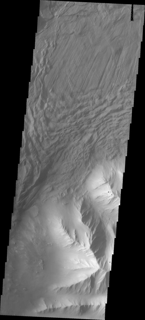 In this VIS image a complex region of multiple overlapping landslide deposits fills most the the frame. The very top layer has the lobate edges and radial surface grooves of a low volume slide. It appears to be the top of a complex layering of materials. It is possible that all the lower layers are landslides as well. Whether the layers formed very close in time of over thousands of years can not be determined in the image. Tithonium Chasma has numerous large landslide deposits. The resistant material of the plateau surface forms the linear ridges of the canyon wall. Large landslides have changed the walls and floor of the canyon. A landslide is a failure of slope due to gravity. They initiate due to several reasons. A lower layer of poorly cemented/resistant material may have been eroded, undermining the wall above which then collapses; earth quake seismic waves can cause the slope to collapse; and even an impact event near the canyon wall can cause collapse. As millions of tons of material fall and slide down slope a scalloped cavity forms at the upper part where the slope failure occurred. At the material speeds downhill it will pick up more of the underlying slope, increasing the volume of material entrained into the landslide. Whereas some landslides spread across the canyon floor forming lobate deposits, very large volume slope failures will completely fill the canyon floor in a large complex region of chaotic blocks.  Tithonium Chasma is at the western end of Valles Marineris. Valles Marineris is over 4000 kilometers long, wider than the United States. Tithonium Chasma is almost 810 kilometers long (499 miles), 50 kilometers wide and over 6 kilometers deep. In comparison, the Grand Canyon in Arizona is about 175 kilometers long, 30 kilometers wide, and only 2 kilometers deep. The canyons of Valles Marineris were formed by extensive fracturing and pulling apart of the crust during the uplift of the vast Tharsis plateau. Landslides have enlarged the canyon walls and created deposits on the canyon floor. Weathering of the surface and influx of dust and sand have modified the canyon floor, both creating and modifying layered materials.  The Odyssey spacecraft has spent over 15 years in orbit around Mars, circling the planet more than 71,000 times. It holds the record for longest working spacecraft at Mars. THEMIS, the IR/VIS camera system, has collected data for the entire mission and provides images covering all seasons and lighting conditions. Over the years many features of interest have received repeated imaging, building up a suite of images covering the entire feature. From the deepest chasma to the tallest volcano, individual dunes inside craters and dune fields that encircle the north pole, channels carved by water and lava, and a variety of other feature, THEMIS has imaged them all. For the next several months the image of the day will focus on the Tharsis volcanoes, the various chasmata of Valles Marineris, and the major dunes fields. We hope you enjoy these images!  Orbit Number: 19200 Latitude: -4.54491 Longitude: 272.164 Instrument: VIS Captured: 2006-04-13 04:51