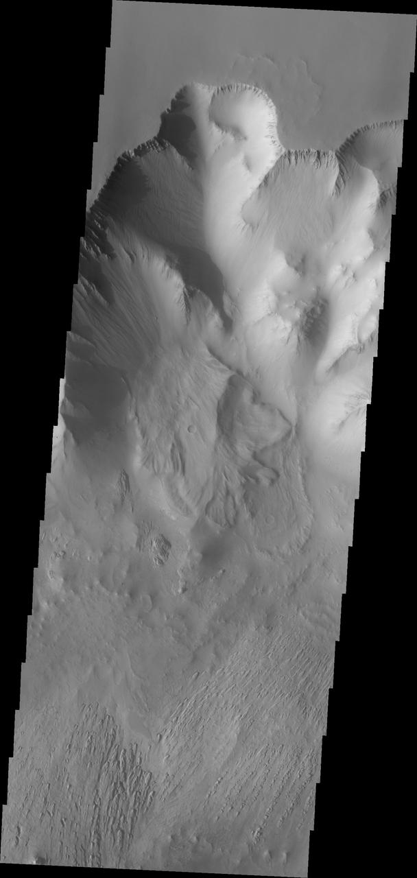 This VIS image of Tithonium Chasma shows the canyon wall at the top of the frame, a series of landslide deposits in the middle, and an eroded mound of materials at the bottom. The mound has been eroded, most likely by wind action.  Tithonium Chasma has numerous large landslide deposits. The resistant material of the plateau surface forms the linear ridges of the canyon wall. Large landslides have changed the walls and floor of the canyon. A landslide is a failure of slope due to gravity. They initiate due to several reasons. A lower layer of poorly cemented/resistant material may have been eroded, undermining the wall above which then collapses; earth quake seismic waves can cause the slope to collapse; and even an impact event near the canyon wall can cause collapse. As millions of tons of material fall and slide down slope a scalloped cavity forms at the upper part where the slope failure occurred. At the material speeds downhill it will pick up more of the underlying slope, increasing the volume of material entrained into the landslide. Whereas some landslides spread across the canyon floor forming lobate deposits, very large volume slope failures will completely fill the canyon floor in a large complex region of chaotic blocks.  Tithonium Chasma is at the western end of Valles Marineris. Valles Marineris is over 4000 kilometers long, wider than the United States. Tithonium Chasma is almost 810 kilometers long (499 miles), 50 kilometers wide and over 6 kilometers deep. In comparison, the Grand Canyon in Arizona is about 175 kilometers long, 30 kilometers wide, and only 2 kilometers deep. The canyons of Valles Marineris were formed by extensive fracturing and pulling apart of the crust during the uplift of the vast Tharsis plateau. Landslides have enlarged the canyon walls and created deposits on the canyon floor. Weathering of the surface and influx of dust and sand have modified the canyon floor, both creating and modifying layered materials.  The Odyssey spacecraft has spent over 15 years in orbit around Mars, circling the planet more than 71,000 times. It holds the record for longest working spacecraft at Mars. THEMIS, the IR/VIS camera system, has collected data for the entire mission and provides images covering all seasons and lighting conditions. Over the years many features of interest have received repeated imaging, building up a suite of images covering the entire feature. From the deepest chasma to the tallest volcano, individual dunes inside craters and dune fields that encircle the north pole, channels carved by water and lava, and a variety of other feature, THEMIS has imaged them all. For the next several months the image of the day will focus on the Tharsis volcanoes, the various chasmata of Valles Marineris, and the major dunes fields. We hope you enjoy these images!  Orbit Number: 25964 Latitude: -4.26209 Longitude: 270.721 Instrument: VIS Captured: 2007-10-22 02:44  https://photojournal.jpl.nasa.gov/catalog/PIA22273
