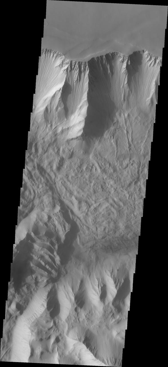 This VIS image of Tithonium Chasma shows the canyon wall at the top of the frame and the cliff face of the opposite side of the canyon at the bottom of the image. Most of the floor has been covered with the deposits of large volume landslides. Near the top-right portion of the canyon wall several smaller lobate landslide deposits are visible.  Tithonium Chasma has numerous large landslide deposits. The resistant material of the plateau surface forms the linear ridges of the canyon wall. Large landslides have changed the walls and floor of the canyon. A landslide is a failure of slope due to gravity. They initiate due to several reasons. A lower layer of poorly cemented/resistant material may have been eroded, undermining the wall above which then collapses; earth quake seismic waves can cause the slope to collapse; and even an impact event near the canyon wall can cause collapse. As millions of tons of material fall and slide down slope a scalloped cavity forms at the upper part where the slope failure occurred. At the material speeds downhill it will pick up more of the underlying slope, increasing the volume of material entrained into the landslide. Whereas some landslides spread across the canyon floor forming lobate deposits, very large volume slope failures will completely fill the canyon floor in a large complex region of chaotic blocks.  Tithonium Chasma is at the western end of Valles Marineris. Valles Marineris is over 4000 kilometers long, wider than the United States. Tithonium Chasma is almost 810 kilometers long (499 miles), 50 kilometers wide and over 6 kilometers deep. In comparison, the Grand Canyon in Arizona is about 175 kilometers long, 30 kilometers wide, and only 2 kilometers deep. The canyons of Valles Marineris were formed by extensive fracturing and pulling apart of the crust during the uplift of the vast Tharsis plateau. Landslides have enlarged the canyon walls and created deposits on the canyon floor. Weathering of the surface and influx of dust and sand have modified the canyon floor, both creating and modifying layered materials.  The Odyssey spacecraft has spent over 15 years in orbit around Mars, circling the planet more than 71,000 times. It holds the record for longest working spacecraft at Mars. THEMIS, the IR/VIS camera system, has collected data for the entire mission and provides images covering all seasons and lighting conditions. Over the years many features of interest have received repeated imaging, building up a suite of images covering the entire feature. From the deepest chasma to the tallest volcano, individual dunes inside craters and dune fields that encircle the north pole, channels carved by water and lava, and a variety of other feature, THEMIS has imaged them all. For the next several months the image of the day will focus on the Tharsis volcanoes, the various chasmata of Valles Marineris, and the major dunes fields. We hope you enjoy these images!  Orbit Number: 26775 Latitude: -4.54217 Longitude: 274.121 Instrument: VIS Captured: 2007-12-27 21:24  https://photojournal.jpl.nasa.gov/catalog/PIA22274