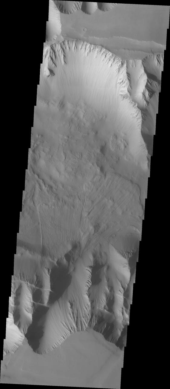 The VIS image shows part of the western end of Ius Chasma. Both the north and south canyon walls are visible in this image. At the top of the frame paired faults have created a graben. On the southern face of the canyon, several linear faults parallel the graben. These faults are part of the tectonic formation of Valles Marineris. Landslides on both walls created deposits on the crater floor. The easiest to identify is the lobate margin at the right side of the images. Lobate margins and radial surface grooves are common features in low volume landslides. A landslide is a failure of slope due to gravity. They initiate due to several reasons. A lower layer of poorly cemented/resistant material may have been eroded, undermining the wall above which then collapses; earth quake seismic waves can cause the slope to collapse; and even an impact event near the canyon wall can cause collapse. As millions of tons of material fall and slide down slope a scalloped cavity forms at the upper part where the slope failure occurred. At the material speeds downhill it will pick up more of the underlying slope, increasing the volume of material entrained into the landslide. Whereas some landslides spread across the canyon floor forming lobate deposits, very large volume slope failures will completely fill the canyon floor in a large complex region of chaotic blocks. Ius Chasma is at the western end of Valles Marineris, south of Tithonium Chasma. Valles Marineris is over 4000 kilometers long, wider than the United States. Ius Chasma is almost 850 kilometers long (528 miles), 120 kilometers wide and over 8 kilometers deep. In comparison, the Grand Canyon in Arizona is about 175 kilometers long, 30 kilometers wide, and only 2 kilometers deep. The canyons of Valles Marineris were formed by extensive fracturing and pulling apart of the crust during the uplift of the vast Tharsis plateau. Landslides have enlarged the canyon walls and created deposits on the canyon floor. Weathering of the surface and influx of dust and sand have modified the canyon floor, both creating and modifying layered materials. There are many features that indicate flowing and standing water played a part in the chasma formation. The Odyssey spacecraft has spent over 15 years in orbit around Mars, circling the planet more than 71,000 times. It holds the record for longest working spacecraft at Mars. THEMIS, the IR/VIS camera system, has collected data for the entire mission and provides images covering all seasons and lighting conditions. Over the years many features of interest have received repeated imaging, building up a suite of images covering the entire feature. From the deepest chasma to the tallest volcano, individual dunes inside craters and dune fields that encircle the north pole, channels carved by water and lava, and a variety of other feature, THEMIS has imaged them all. For the next several months the image of the day will focus on the Tharsis volcanoes, the various chasmata of Valles Marineris, and the major dunes fields. We hope you enjoy these images! Orbit Number: 8792 Latitude: -6.69222 Longitude: 270.88 Instrument: VIS Captured: 2003-12-08 06:35 https://photojournal.jpl.nasa.gov/catalog/PIA22277