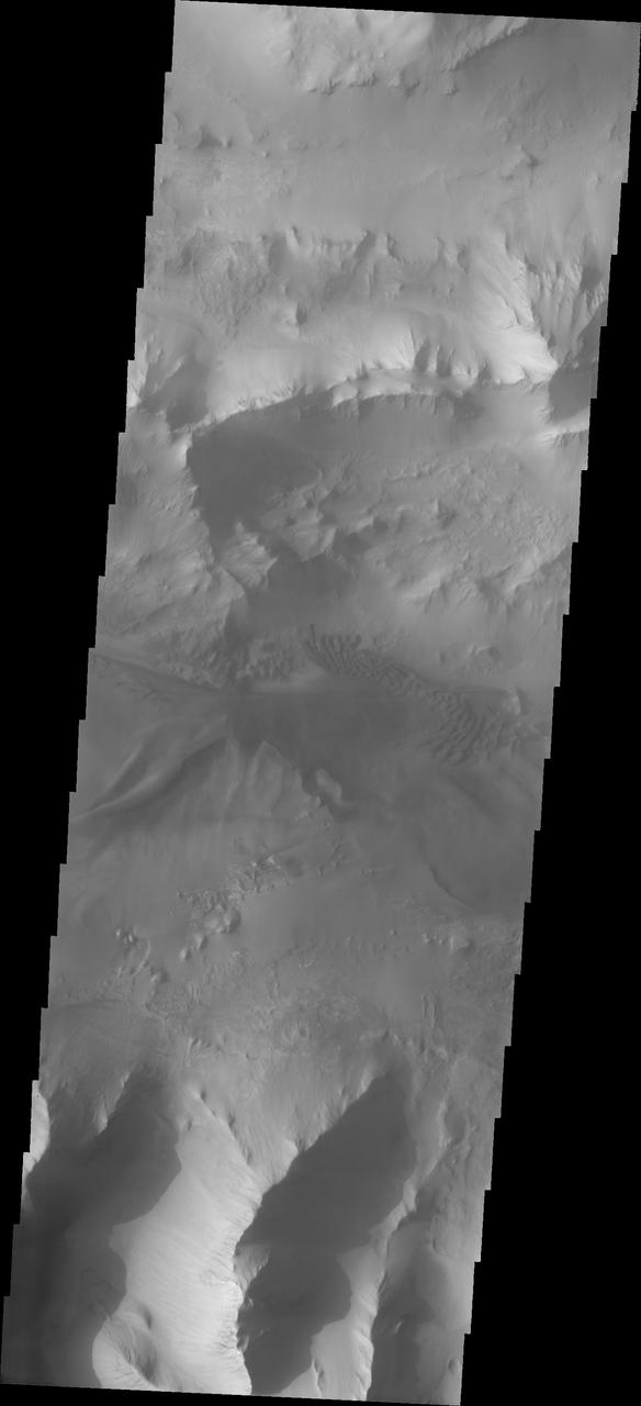 Continuing eastward thru central Ius Chasma, this image shows a section of chasma that is not dominated by landslide deposits. Geryon Montes, in the upper half of the image, has several visible faults, including a pair of faults that divide the uppermost ridge into two sections. Between the montes and the southern wall face is a region of sand and sand dunes. The presence of mobile sand indicates that winds are eroding, depositing and changing the canyon floor. A landslide is a failure of slope due to gravity. They initiate due to several reasons. A lower layer of poorly cemented/resistant material may have been eroded, undermining the wall above which then collapses; earthquake seismic waves can cause the slope to collapse; and even an impact event near the canyon wall can cause collapse. As millions of tons of material fall and slide down slope a scalloped cavity forms at the upper part where the slope failure occurred. At the material speeds downhill it will pick up more of the underlying slope, increasing the volume of material entrained into the landslide. Whereas some landslides spread across the canyon floor forming lobate deposits, very large volume slope failures will completely fill the canyon floor in a large complex region of chaotic blocks. Ius Chasma is at the western end of Valles Marineris, south of Tithonium Chasma. Valles Marineris is over 4000 kilometers long, wider than the United States. Ius Chasma is almost 850 kilometers long (528 miles), 120 kilometers wide and over 8 kilometers deep. In comparison, the Grand Canyon in Arizona is about 175 kilometers long, 30 kilometers wide, and only 2 kilometers deep. The canyons of Valles Marineris were formed by extensive fracturing and pulling apart of the crust during the uplift of the vast Tharsis plateau. Landslides have enlarged the canyon walls and created deposits on the canyon floor. Weathering of the surface and influx of dust and sand have modified the canyon floor, both creating and modifying layered materials. There are many features that indicate flowing and standing water played a part in the chasma formation. The Odyssey spacecraft has spent over 15 years in orbit around Mars, circling the planet more than 71,000 times. It holds the record for longest working spacecraft at Mars. THEMIS, the IR/VIS camera system, has collected data for the entire mission and provides images covering all seasons and lighting conditions. Over the years many features of interest have received repeated imaging, building up a suite of images covering the entire feature. From the deepest chasma to the tallest volcano, individual dunes inside craters and dune fields that encircle the north pole, channels carved by water and lava, and a variety of other feature, THEMIS has imaged them all. For the next several months the image of the day will focus on the Tharsis volcanoes, the various chasmata of Valles Marineris, and the major dunes fields. We hope you enjoy these images! Orbit Number: 27012 Latitude: -7.59048 Longitude: 276.328 Instrument: VIS Captured: 2008-01-16 09:47 https://photojournal.jpl.nasa.gov/catalog/PIA22281
