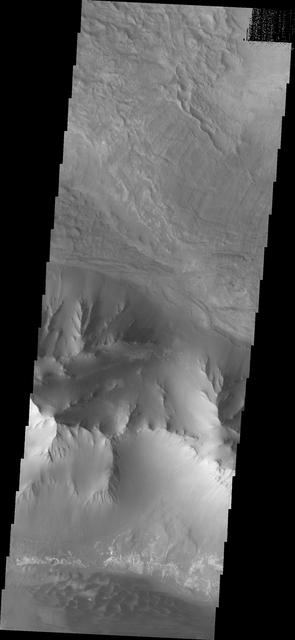 NASA image: Investigating Mars: Ius Chasma