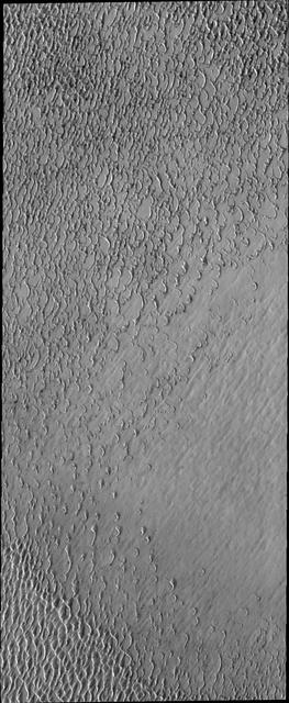 Olympia Undae is a vast dune field in the north polar region of Mars. It consists of a broad sand sea or erg that partly rings the north polar cap from about 120° to 240°E longitude and 78° to 83°N latitude. The dune field covers an area of approximately 470,000 km2 (bigger than California, smaller than Texas). Olympia Undae is the largest continuous dune field on Mars. Olympia Undae is not the only dune field near the north polar cap, several other smaller fields exist in the same latitude, but in other ranges of longitude, e.g. Abolos and Siton Undae. Barchan and transverse dune forms are the most common. In regions with limited available sand individual barchan dunes will form, the surface beneath and between the dunes is visible. In regions with large sand supplies, the sand sheet covers the underlying surface, and dune forms are found modifying the surface of the sand sheet. In this case transverse dunes are more common. Barchan dunes "point" down wind, transverse dunes are more linear and form parallel to the wind direction. The "square" shaped transverse dunes in Olympia Undae are due to two prevailing wind directions.  The Odyssey spacecraft has spent over 15 years in orbit around Mars, circling the planet more than 71,000 times. It holds the record for longest working spacecraft at Mars. THEMIS, the IR/VIS camera system, has collected data for the entire mission and provides images covering all seasons and lighting conditions. Over the years many features of interest have received repeated imaging, building up a suite of images covering the entire feature. From the deepest chasma to the tallest volcano, individual dunes inside craters and dune fields that encircle the north pole, channels carved by water and lava, and a variety of other feature, THEMIS has imaged them all. For the next several months the image of the day will focus on the Tharsis volcanoes, the various chasmata of Valles Marineris, and the major dunes fields. We hope you enjoy these images!  Orbit Number: 27652 Latitude: 80.983 Longitude: 170.458 Instrument: VIS Captured: 2008-03-09 04:03  https://photojournal.jpl.nasa.gov/catalog/PIA22288