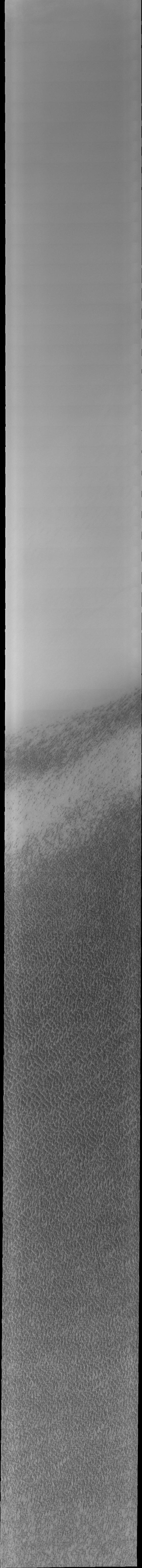This VIS image of Olympia Undae was collected early in north polar spring. The crests of the dunes are light colored, indicative of a frost covering. As the season changes into summertime, the dune crests will lose the frost and reveal the darker sand beneath. The margin of the north polar cap is visible at the top of the image.  Olympia Undae is a vast dune field in the north polar region of Mars. It consists of a broad sand sea or erg that partly rings the north polar cap from about 120° to 240°E longitude and 78° to 83°N latitude. The dune field covers an area of approximately 470,000 km2 (bigger than California, smaller than Texas). Olympia Undae is the largest continuous dune field on Mars. Olympia Undae is not the only dune field near the north polar cap, several other smaller fields exist in the same latitude, but in other ranges of longitude, e.g. Abolos and Siton Undae. Barchan and transverse dune forms are the most common. In regions with limited available sand individual barchan dunes will form, the surface beneath and between the dunes is visible. In regions with large sand supplies, the sand sheet covers the underlying surface, and dune forms are found modifying the surface of the sand sheet. In this case transverse dunes are more common. Barchan dunes "point" down wind, transverse dunes are more linear and form parallel to the wind direction. The "square" shaped transverse dunes in Olympia Undae are due to two prevailing wind directions.  The Odyssey spacecraft has spent over 15 years in orbit around Mars, circling the planet more than 71,000 times. It holds the record for longest working spacecraft at Mars. THEMIS, the IR/VIS camera system, has collected data for the entire mission and provides images covering all seasons and lighting conditions. Over the years many features of interest have received repeated imaging, building up a suite of images covering the entire feature. From the deepest chasma to the tallest volcano, individual dunes inside craters and dune fields that encircle the north pole, channels carved by water and lava, and a variety of other feature, THEMIS has imaged them all. For the next several months the image of the day will focus on the Tharsis volcanoes, the various chasmata of Valles Marineris, and the major dunes fields. We hope you enjoy these images!  Orbit Number: 10293 Latitude: 83.0224 Longitude: 174.743 Instrument: VIS Captured: 2004-04-09 22:04  https://photojournal.jpl.nasa.gov/catalog/PIA22289