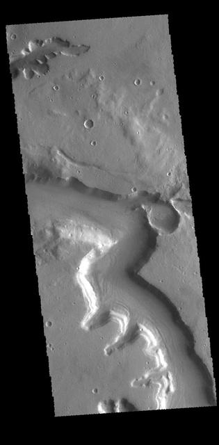 NASA image: Mamers Valles