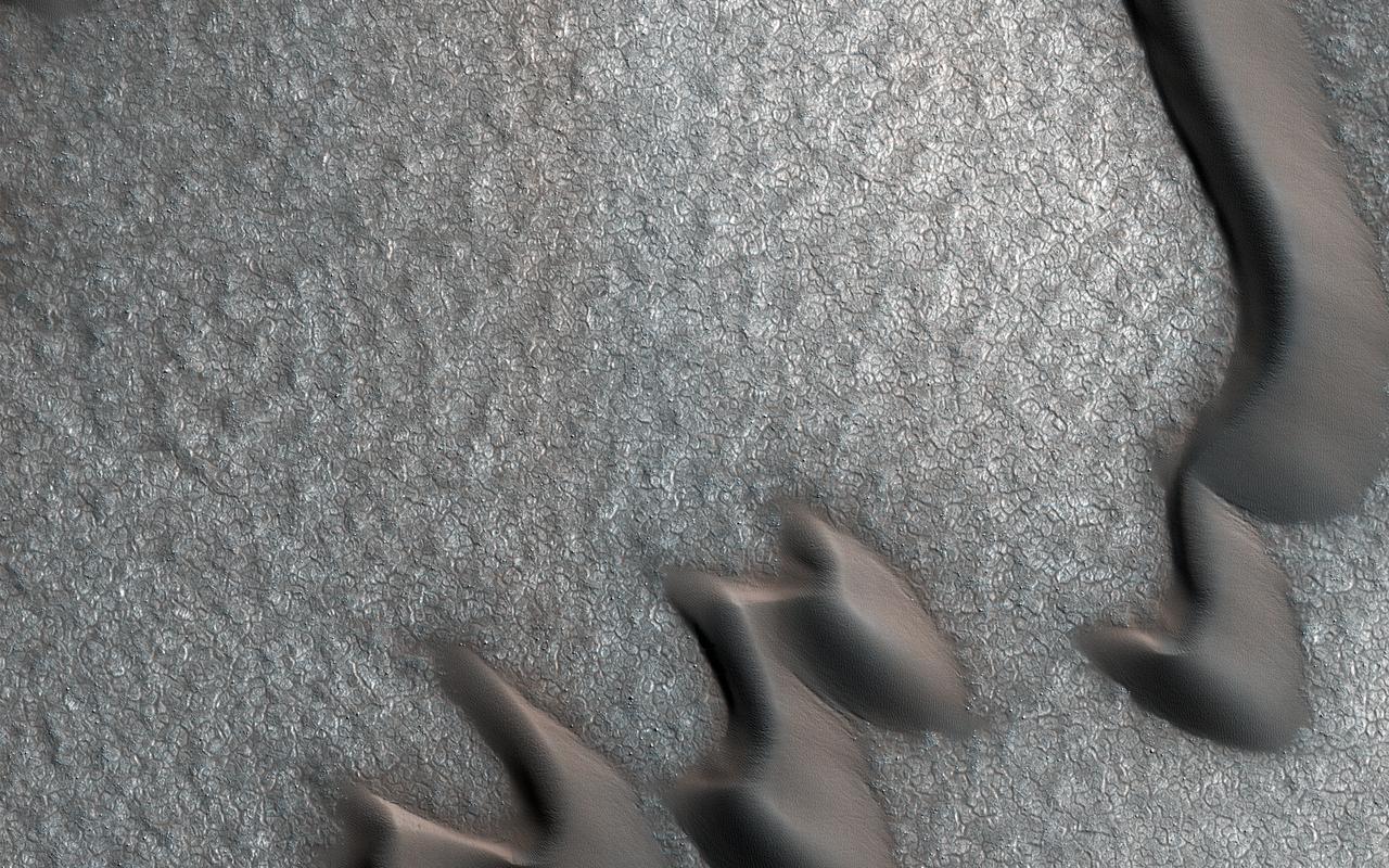 This image from NASA's Mars Reconnaissance Orbiter (MRO) was originally meant to track the movement of sand dunes near the North Pole of Mars, but what's on the ground in between the dunes is just as interesting!  The ground has parallel dark and light stripes from upper left to lower right in this area. In the dark stripes, we see piles of boulders at regular intervals.  What organized these boulders into neatly-spaced piles? In the Arctic back on Earth, rocks can be organized by a process called "frost heave." With frost heave, repeatedly freezing and thawing of the ground can bring rocks to the surface and organize them into piles, stripes, or even circles. On Earth, one of these temperature cycles takes a year, but on Mars it might be connected to changes in the planet's orbit around the Sun that take much longer.  https://photojournal.jpl.nasa.gov/catalog/PIA22334