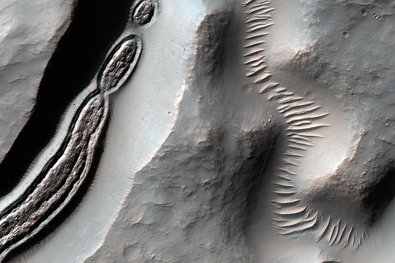 This image from NASA's Mars Reconnaissance Orbiter is a close-up of a trough, along with channels draining into the depression. Some HiRISE images show strange-looking formations. Sometimes it helps to look at Context Camera images to understand the circumstances of a scene -- like this cutout from CTX 033783_1509 -- which here shows an impact crater with a central peak, and a collapse depression with concentric troughs just north of that peak. On the floor of the trough is some grooved material that we typically see in middle latitude regions where there has been glacial flow. These depressions with concentric troughs exist elsewhere on Mars, and their origins remain a matter of debate. NB: The Context Camera is another instrument onboard MRO, and it has a larger viewing angle than HiRISE, but less resolution capability than our camera. https://photojournal.jpl.nasa.gov/catalog/PIA22348