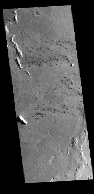 This field of small dark craters is located in southern Elysium Planitia. The dark appearance against the surrounding lava flows suggests that the craters post-date the lava flows. The small "tails" near the craters indicate winds blowing toward the upper left of the image.  Orbit Number: 69752 Latitude: 8.2881 Longitude: 157.48 Instrument: VIS Captured: 2017-09-04 10:56  https://photojournal.jpl.nasa.gov/catalog/PIA22361