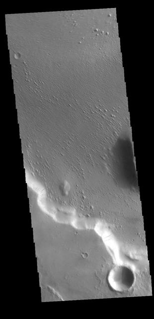 This VIS image is located in Medusae Fossae. Along the cliffside several dark streaks are visible. It is thought that these streaks mark the location where downslope movement of material has removed some of the dust that coats every surface of Mars, and revealed the rocky surface beneath the dust. The surface of the rest of the image appears to have been modified by wind erosion, which has created the aligned small hills and ridges. Orbit Number: 71135 Latitude: -5.43154 Longitude: 197.71 Instrument: VIS Captured: 2017-12-27 09:27 https://photojournal.jpl.nasa.gov/catalog/PIA22365
