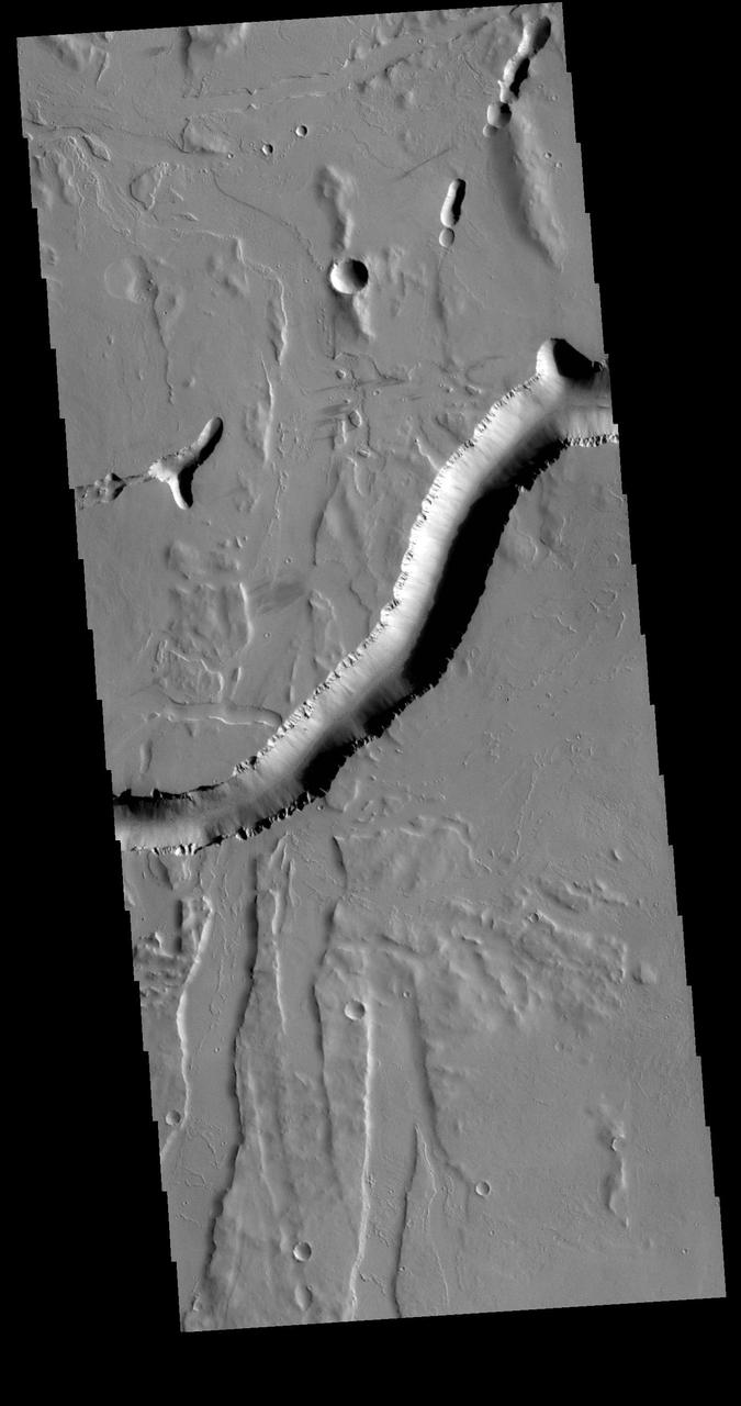 Olympica Fossae is a complex channel located on the volcanic plains between Alba Mons and Olympus Mons. The sinuosity of the large channel in the middle of the image indicates that this is a channel created by liquid flow. In this case the location and other surface features point to lava rather than water as the liquid. The more linear depressions at the bottom third of the image are possibly tectonic features called graben and formed by movement along fault lines. The Alba Mons region contains extensive faulting which formed due to collapse of the volcano. Orbit Number: 71183 Latitude: 25.8417 Longitude: 247.895 Instrument: VIS Captured: 2017-12-31 08:32 https://photojournal.jpl.nasa.gov/catalog/PIA22367