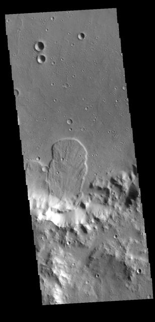 This VIS image is located in an unnamed crater within Tyrrhena Terra. The 'mitten' shaped feature extends from the crater rim (bottom of frame) onto the crater floor. Radial surface grooves and sharp margins are common with landslide deposits. Orbit Number: 71101 Latitude: 0.638432 Longitude: 98.3042 Instrument: VIS Captured: 2017-12-24 14:16 https://photojournal.jpl.nasa.gov/catalog/PIA22368