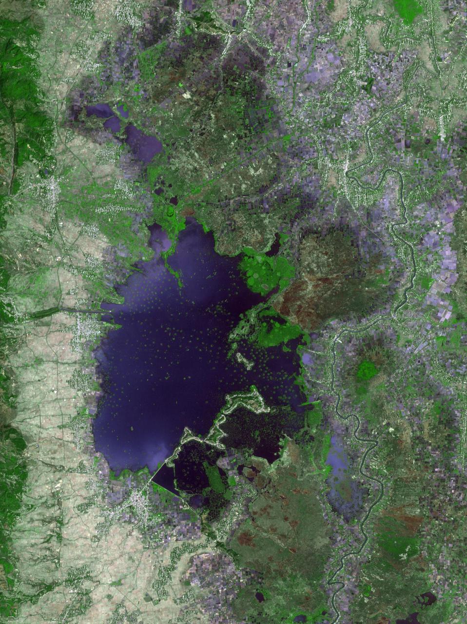 Loktak Lake is the largest freshwater lake in northeast India, and is famous for the floating "phudmis," masses of vegetation, soil and organic material. The lake is a source of water for hydropower, irrigation, drinking water, and livelihood for fish farmers. The image was acquired March 19, 2018, covers an area of 20.5 by 27.3 kilometers, and is located at 24.5 degrees north, 93.8 degrees east.  https://photojournal.jpl.nasa.gov/catalog/PIA22369